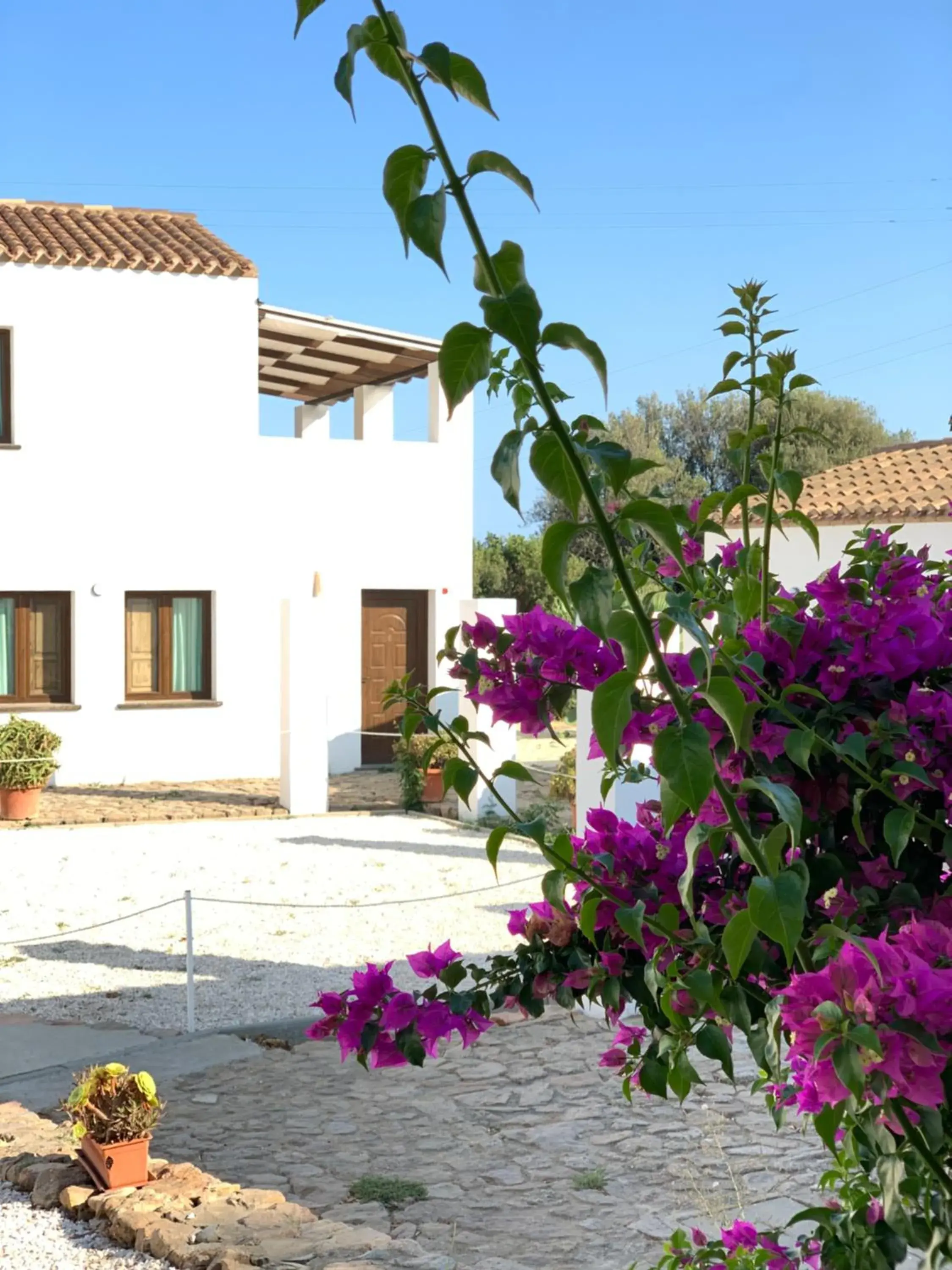 Cort'e Nastasj Cort'e Nastasj