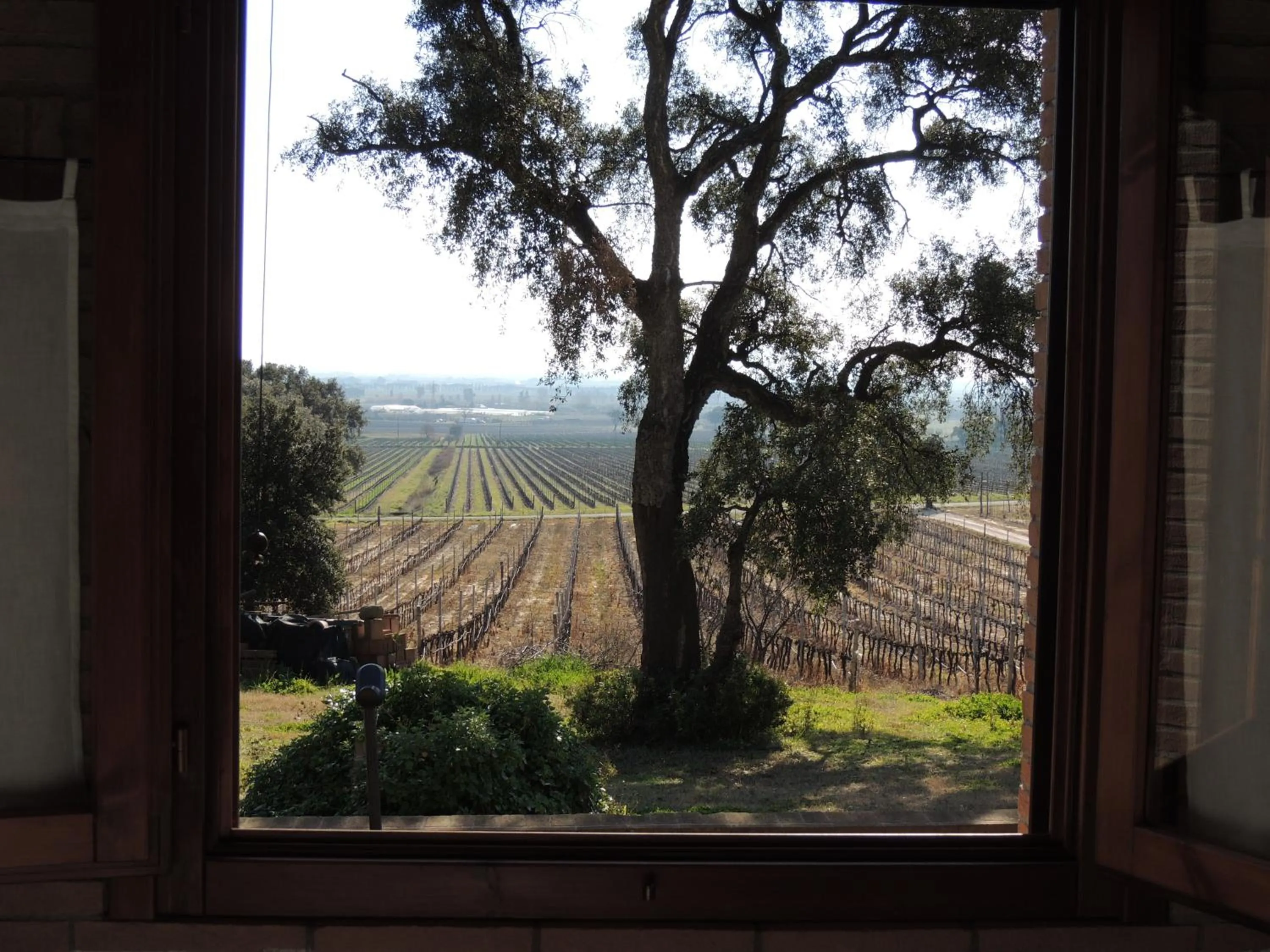 View (from property/room) in La Merla