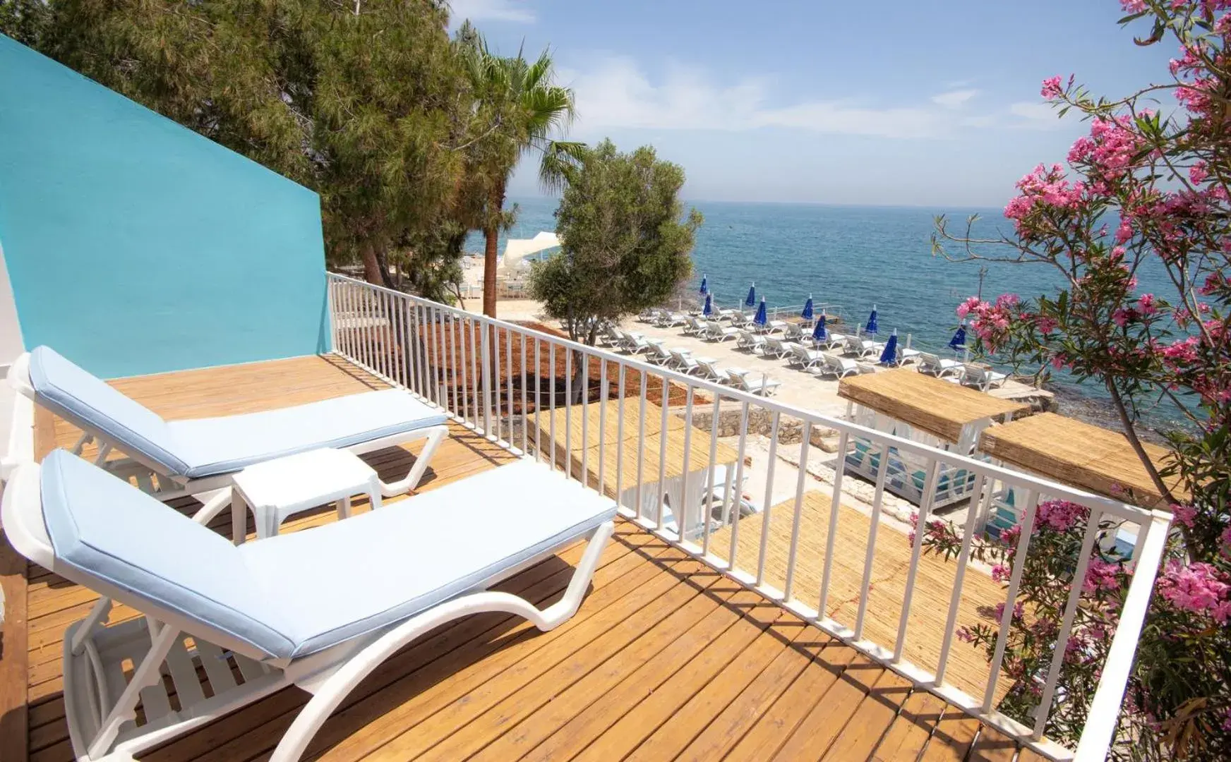 MOJO OTEL BEACH MOJO OTEL BEACH