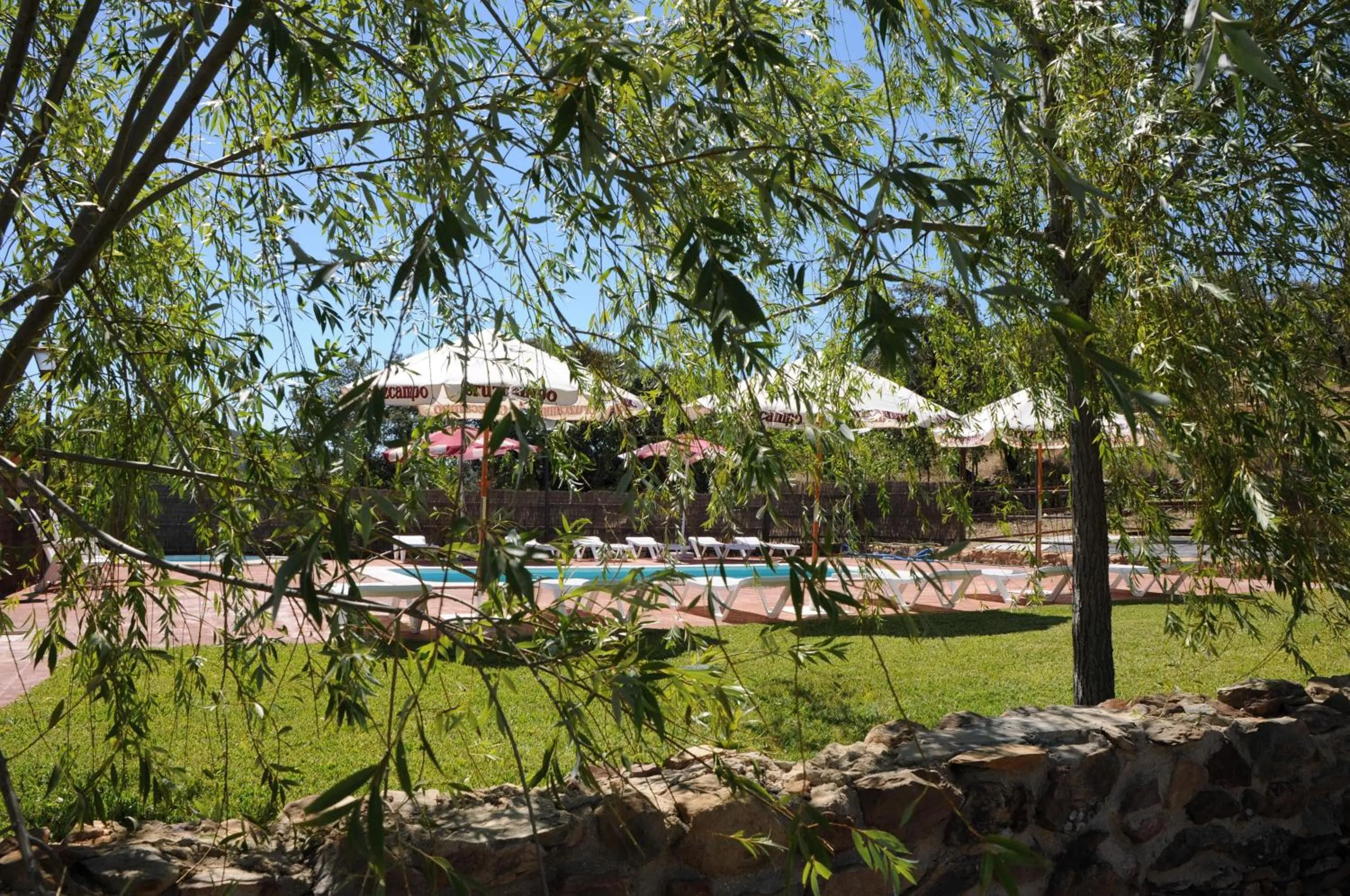 Swimming pool in Finca Los Caleros