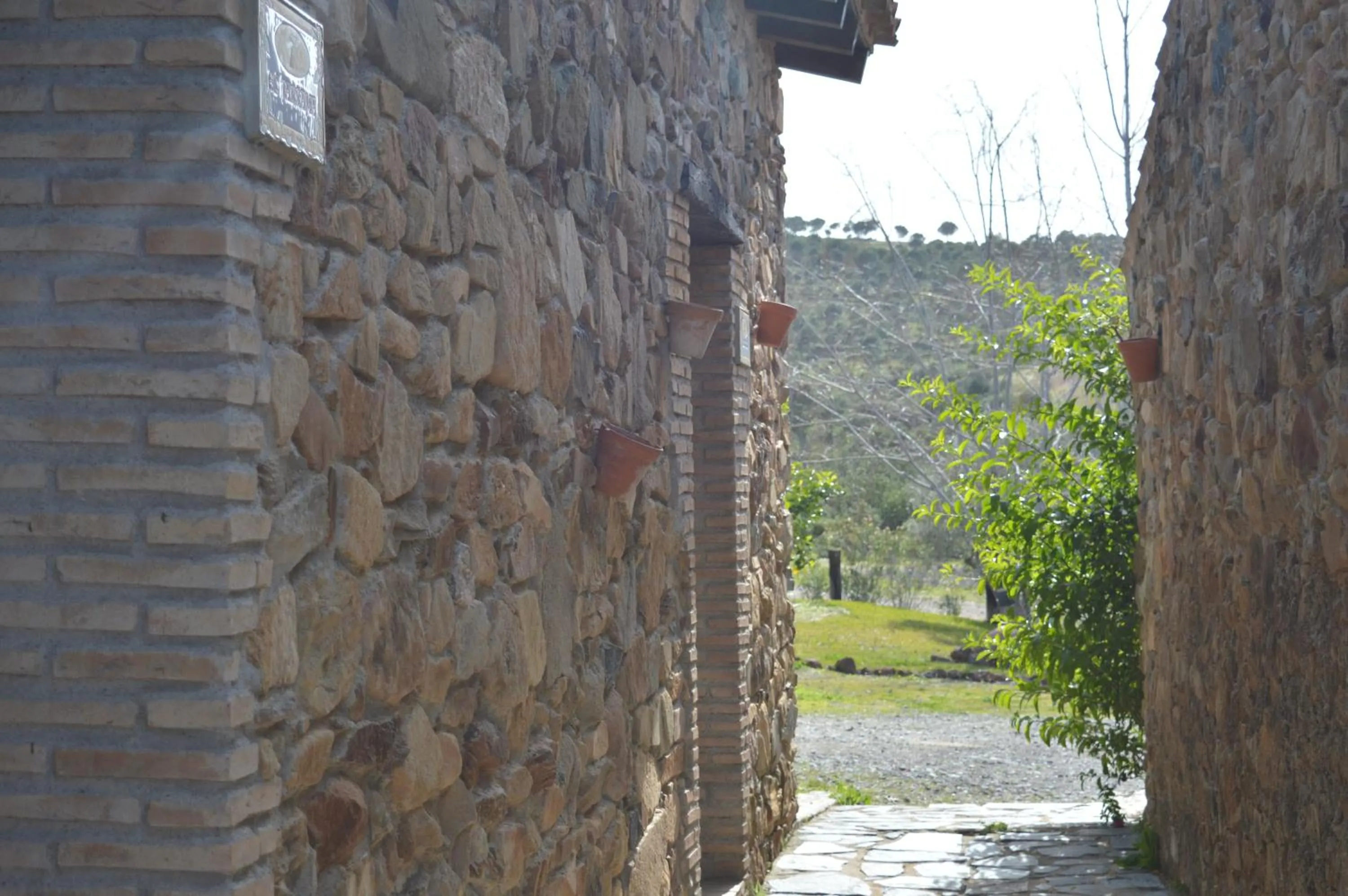 Patio in Finca Los Caleros
