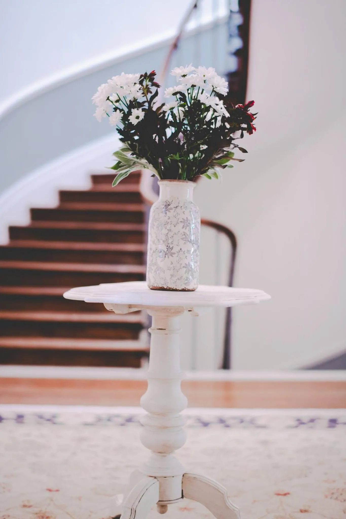 La Maison de L' Ambassadeur Carcassonne B&B