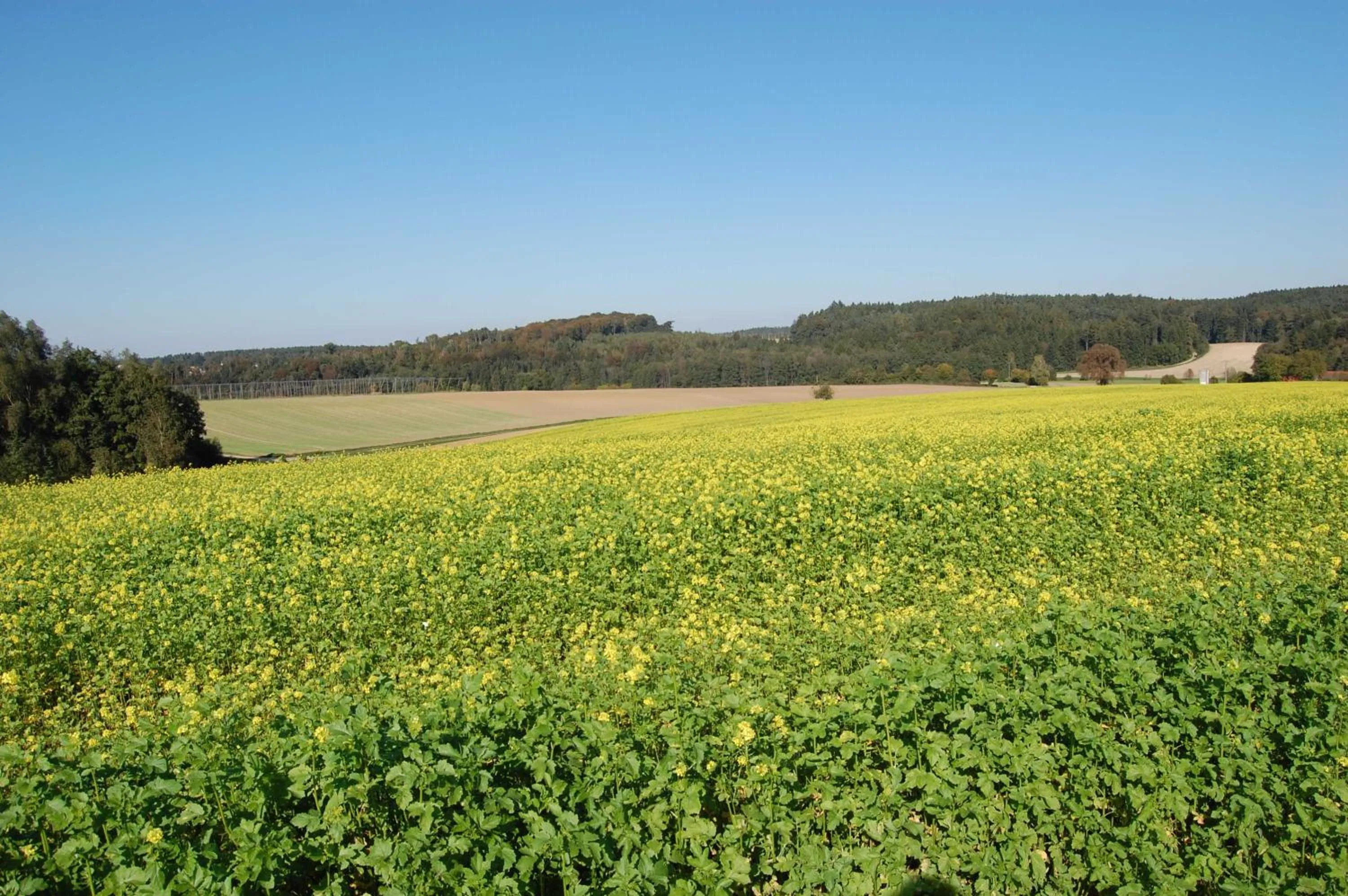 Natural landscape in Hotel Sixt