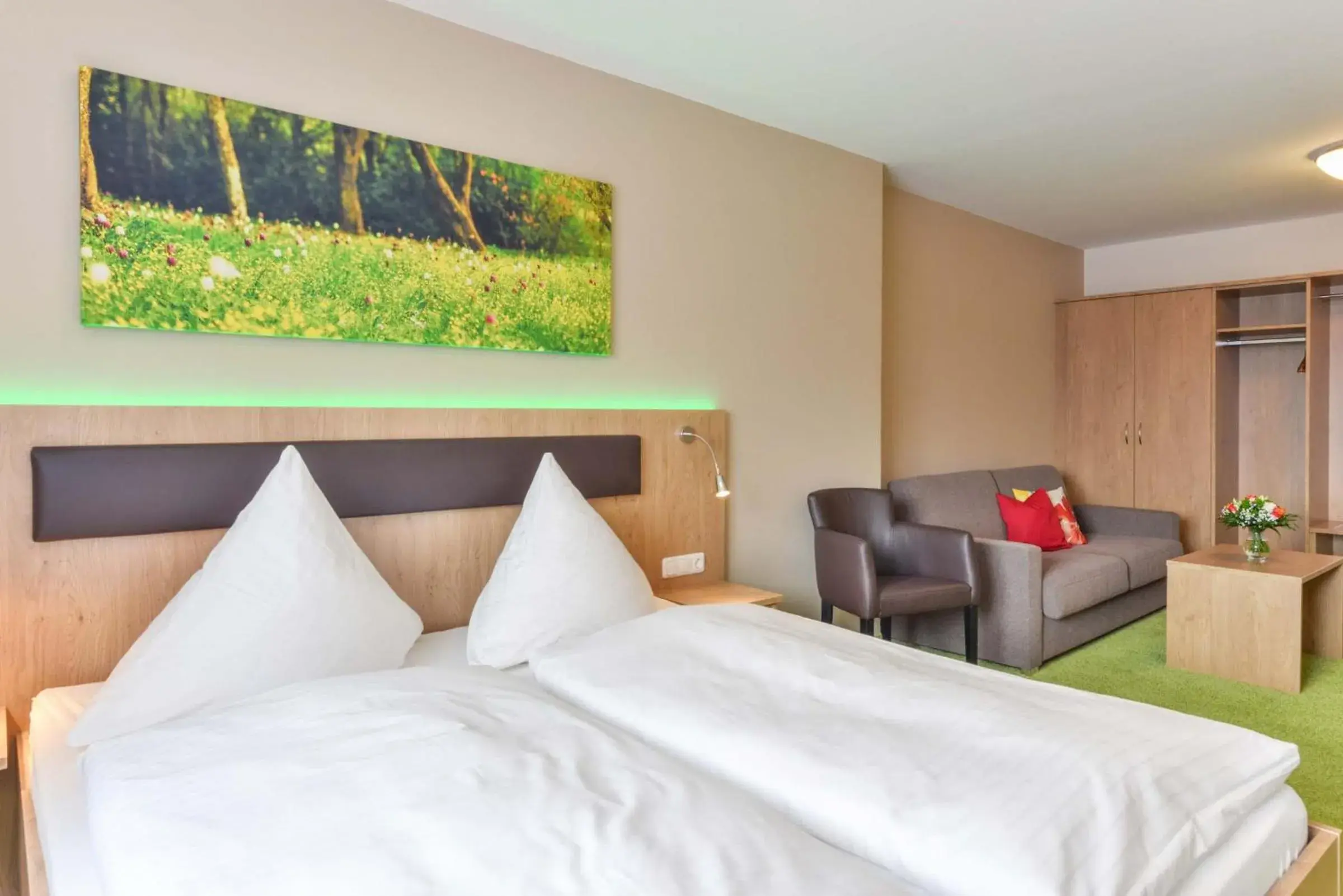 Superior Double Room - single occupancy in Hotel Sixt Superior Double Room - single occupancy in Hotel Sixt
