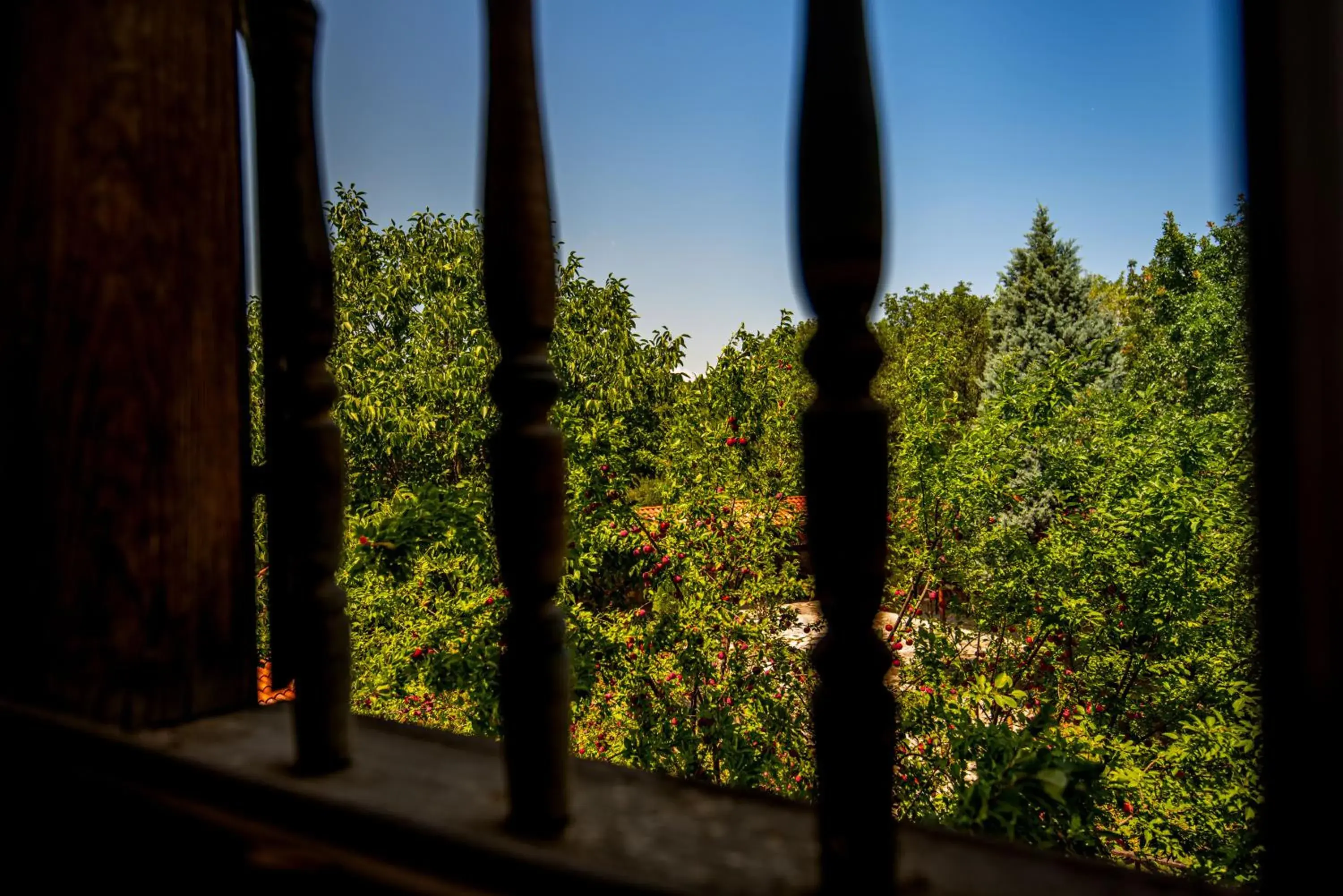 Deluxe Single Room in Paphlagonia Yoruk Muratoglu Konak Deluxe Single Room in Paphlagonia Yoruk Muratoglu Konak