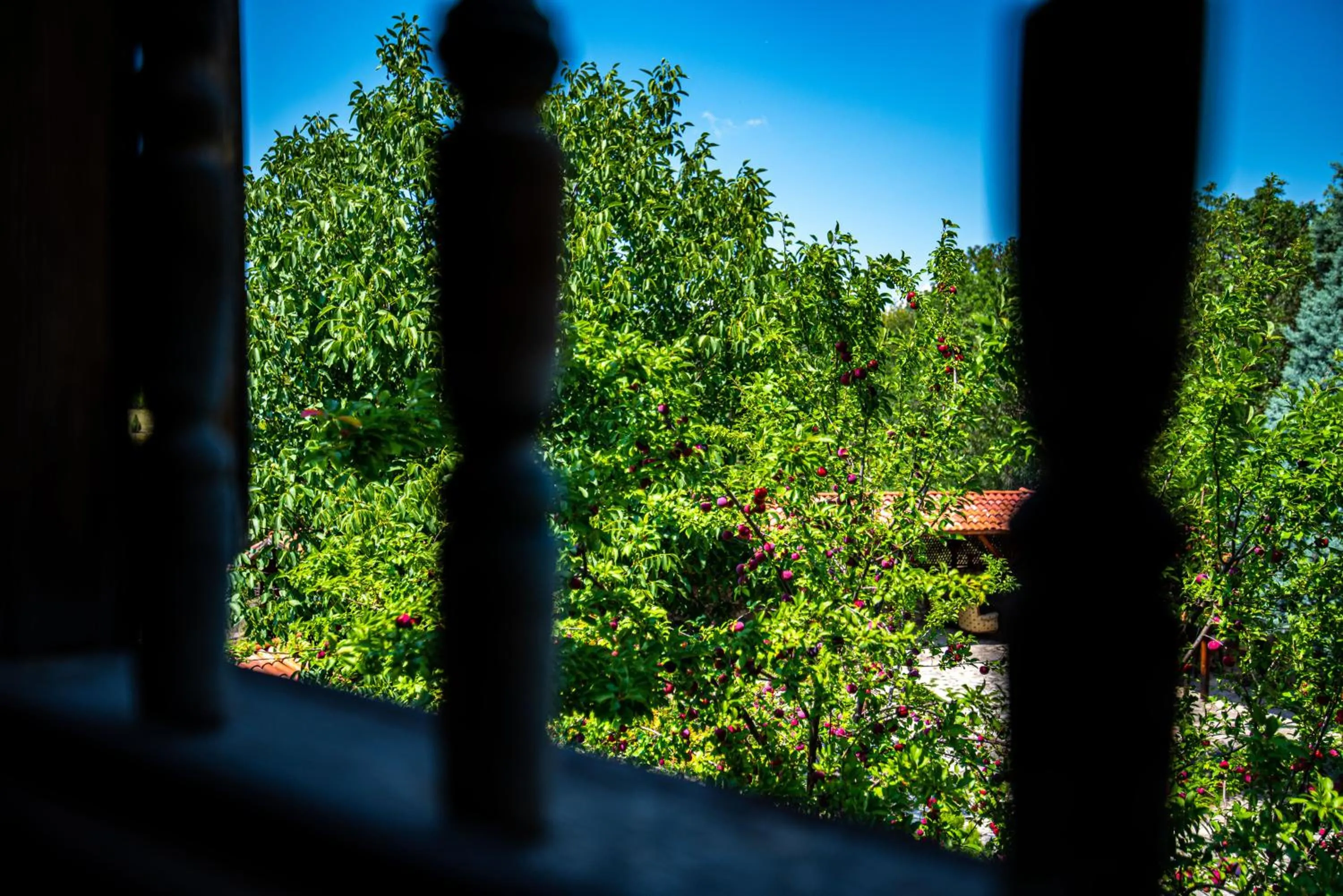 View (from property/room) in Paphlagonia Yoruk Muratoglu Konak