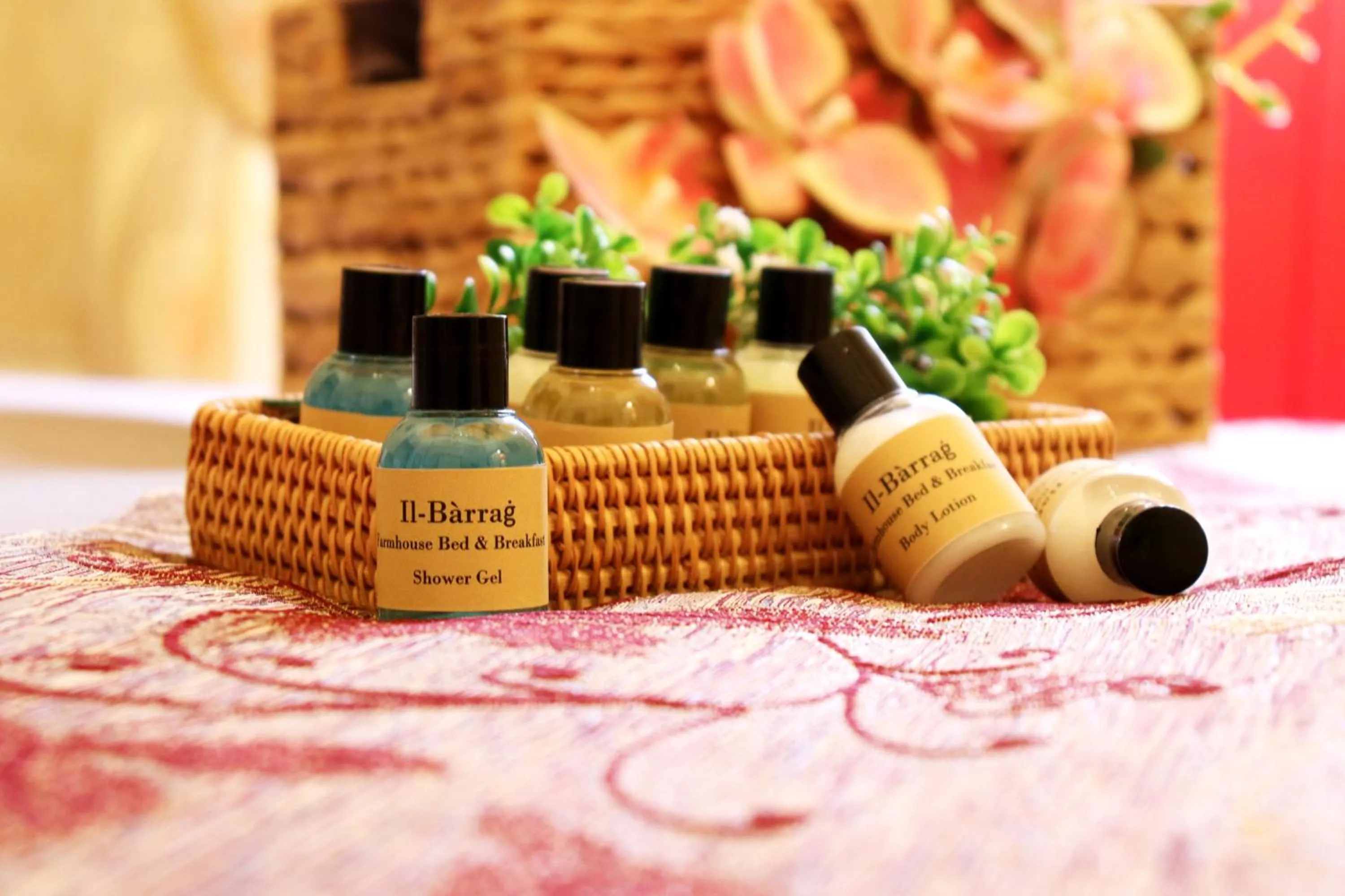 Toilet in Il-Bàrraġ Farmhouse B&B - Gozo Traditional Hospitality