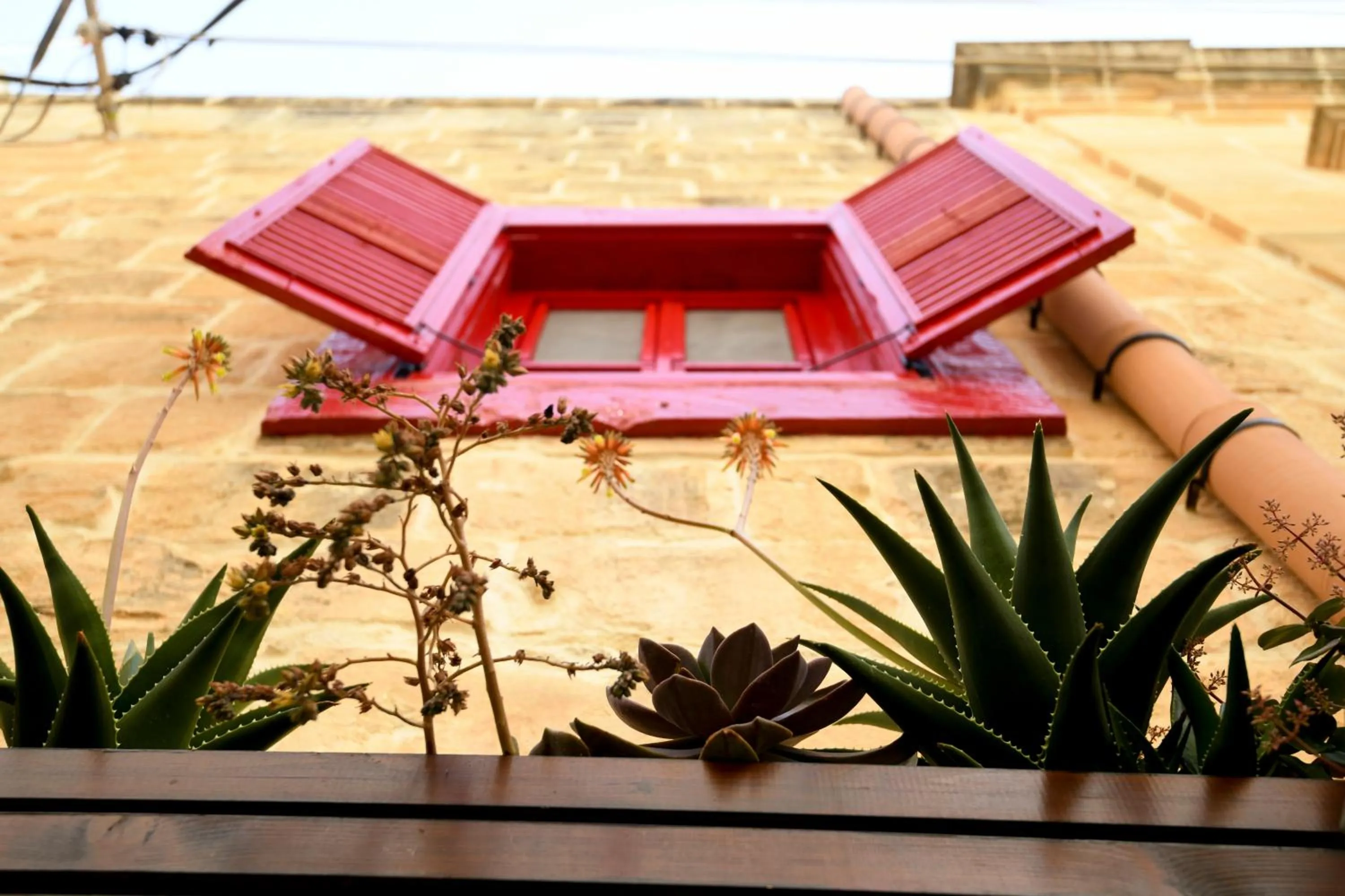 Facade/entrance in Il-Bàrraġ Farmhouse B&B - Gozo Traditional Hospitality