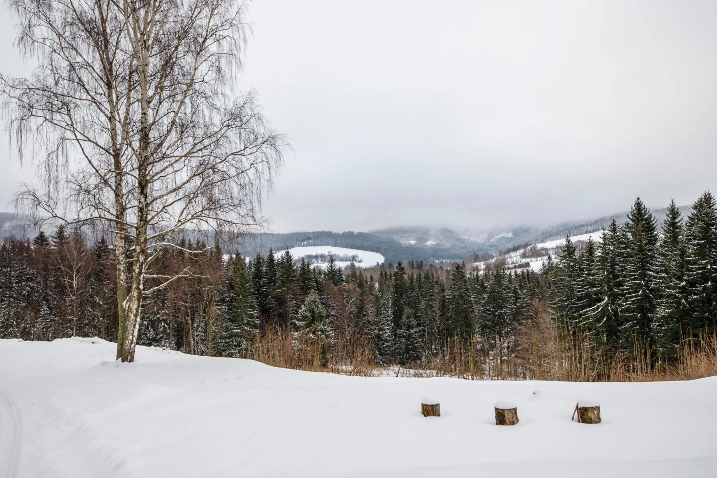 View (from property/room) in Aparthotel Panorama