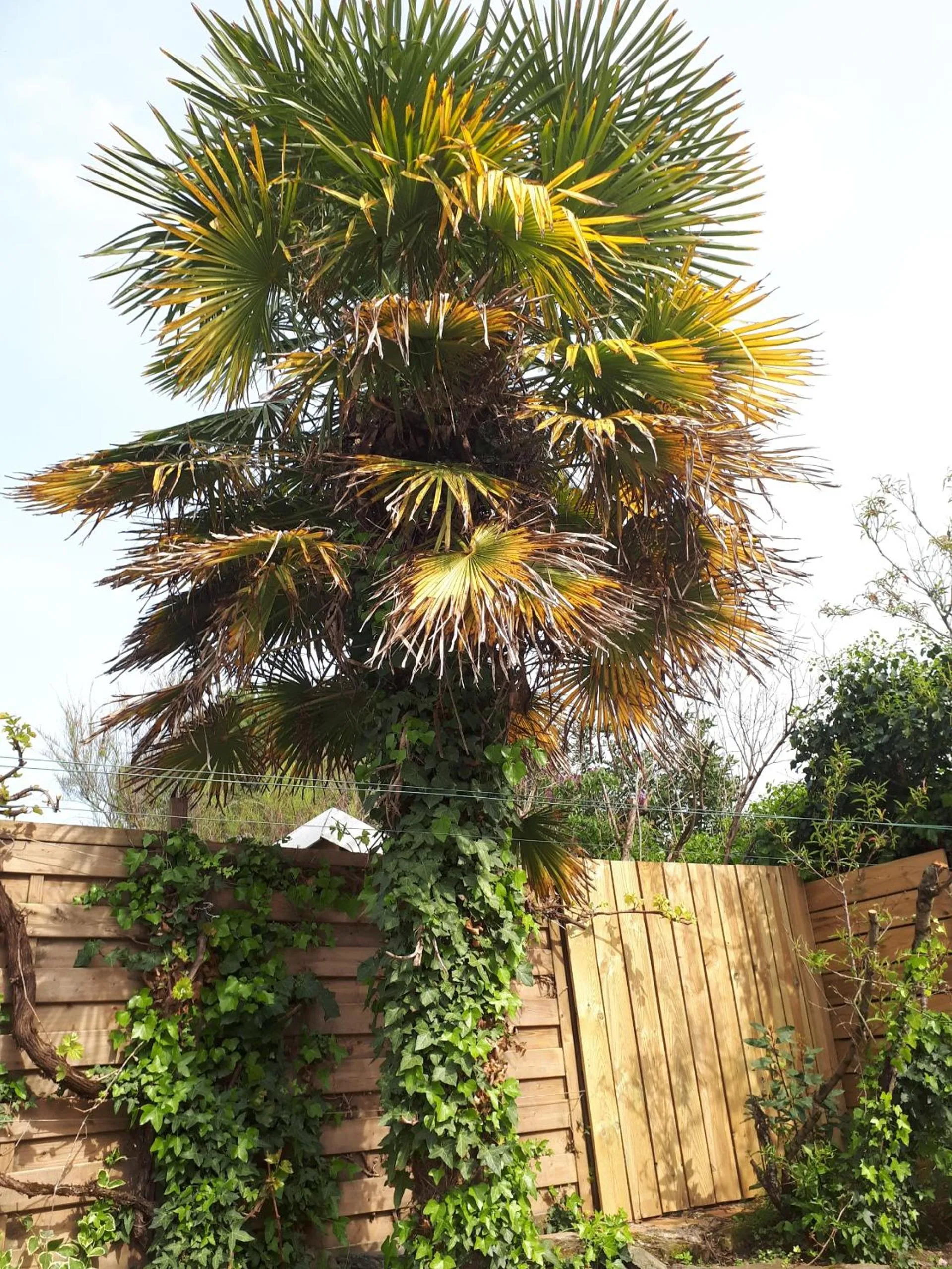 Property building in maison tartifume