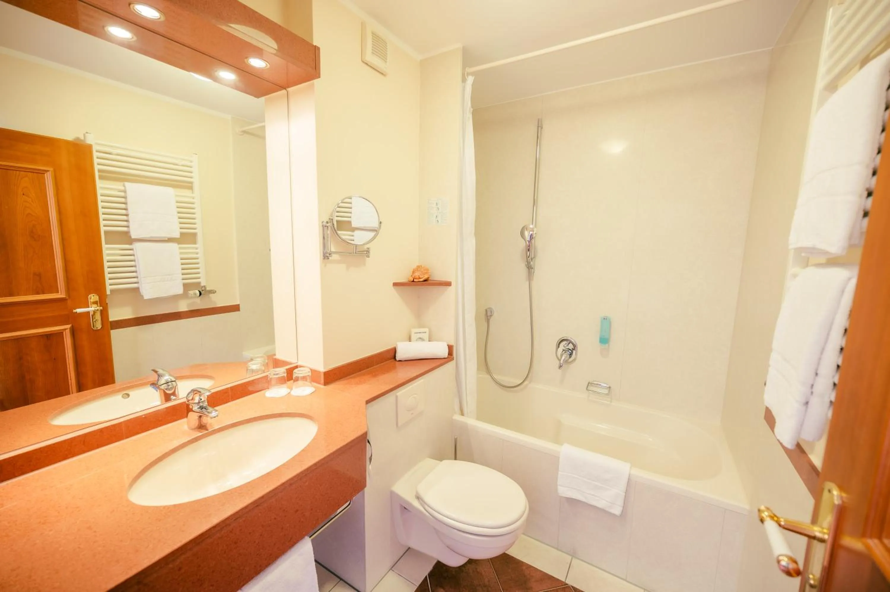 Toilet in Hotel am Schlosspark Zum Kurfürst