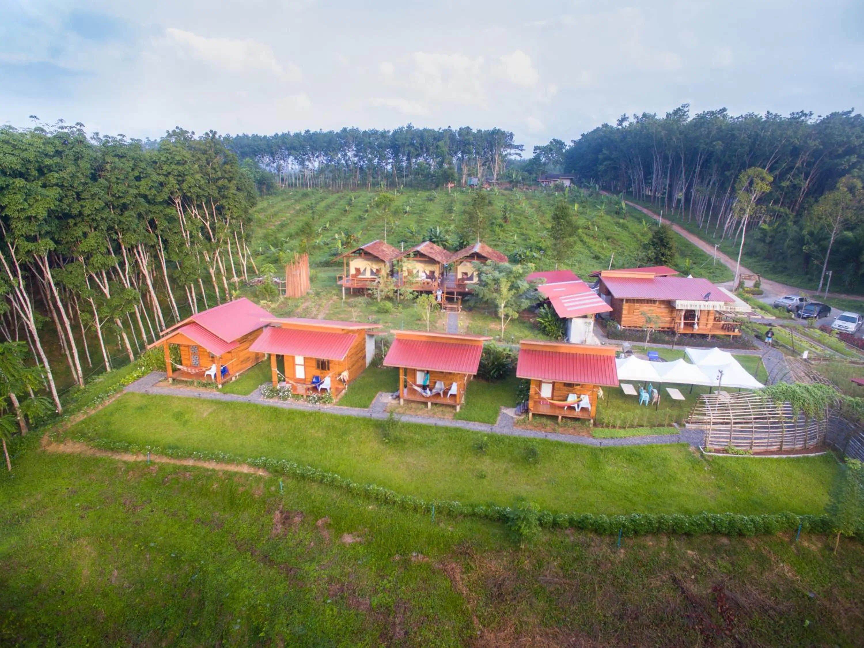 Bird's eye view in Bansuanphutarn