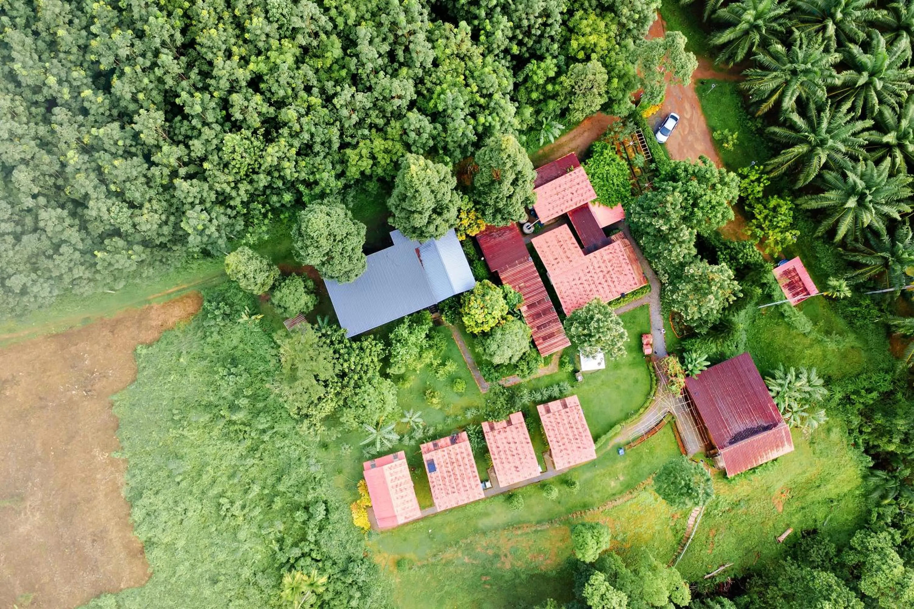 Area and facilities in Bansuanphutarn