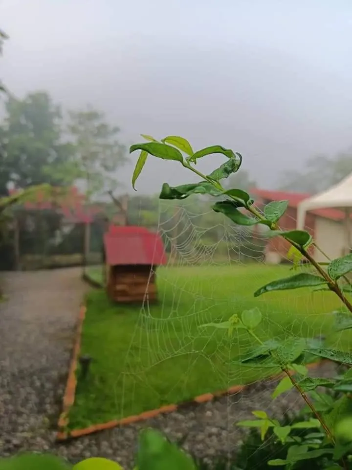Inner courtyard view in Bansuanphutarn