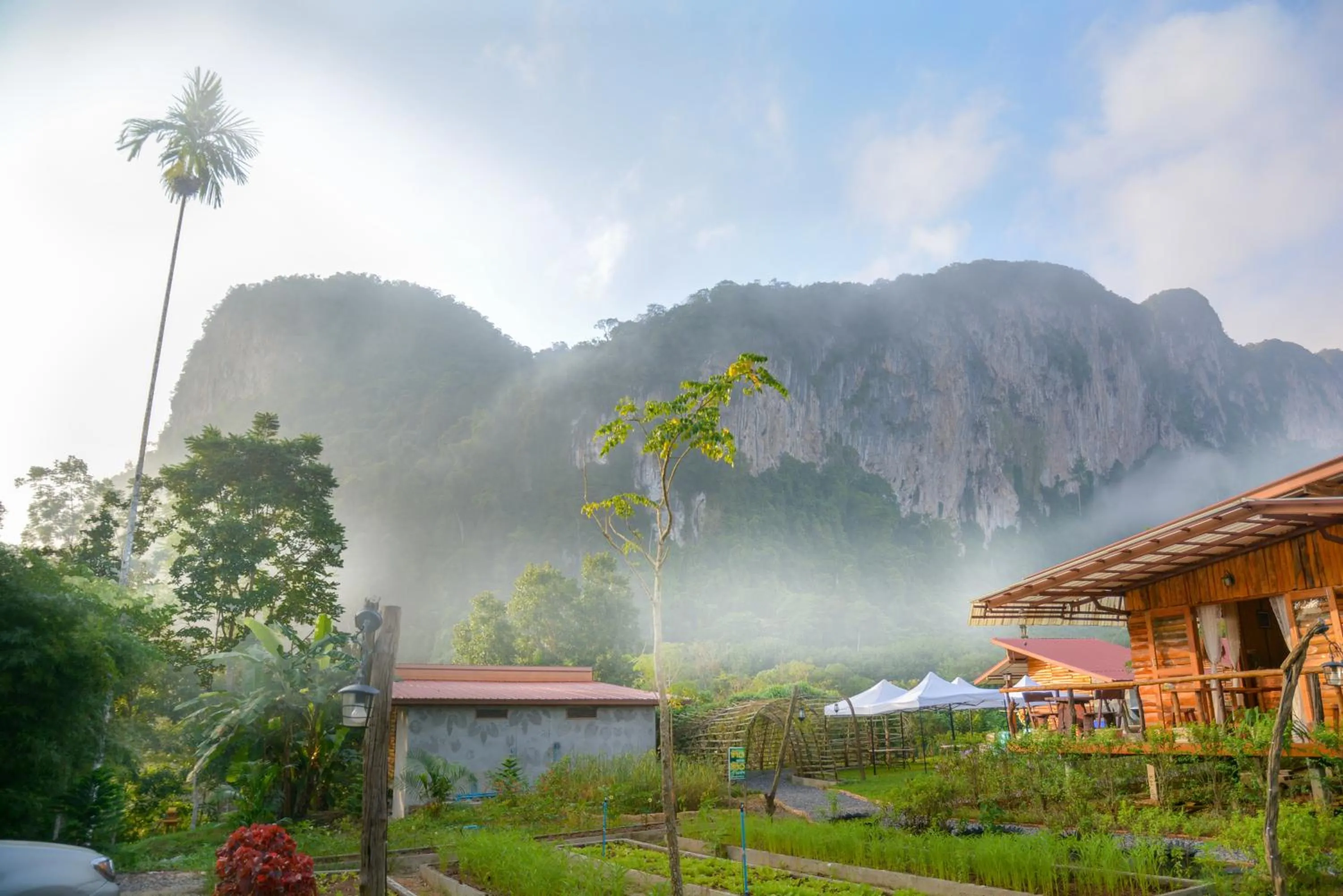 Natural landscape in Bansuanphutarn