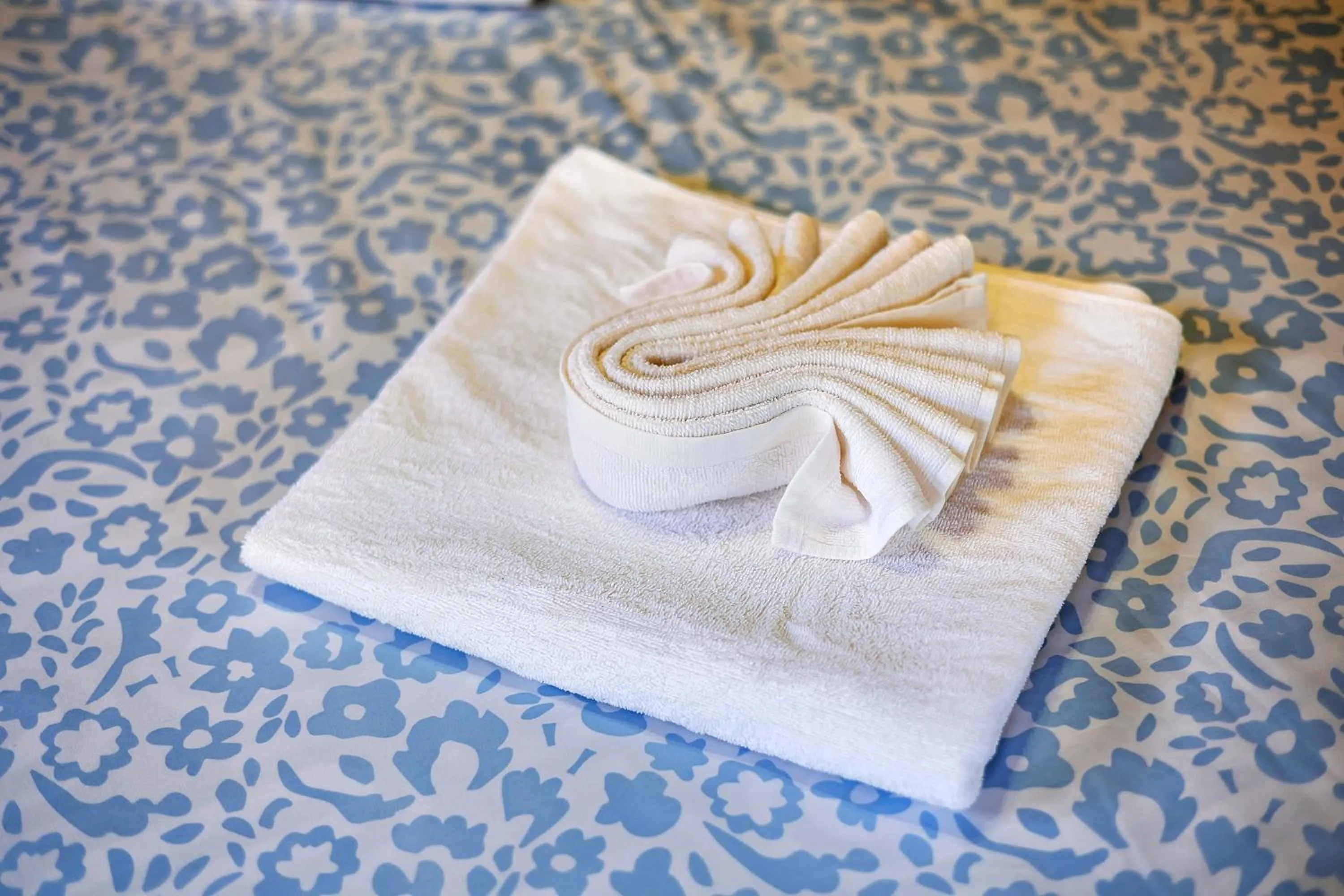 Area and facilities in Bansuanphutarn