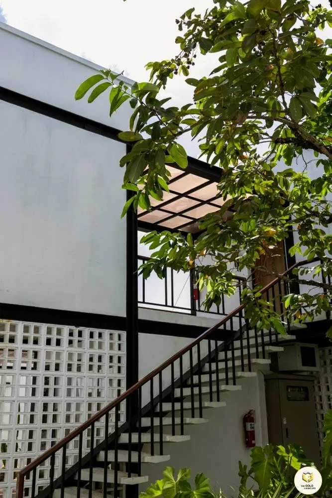 Property building in The Gold Living Life