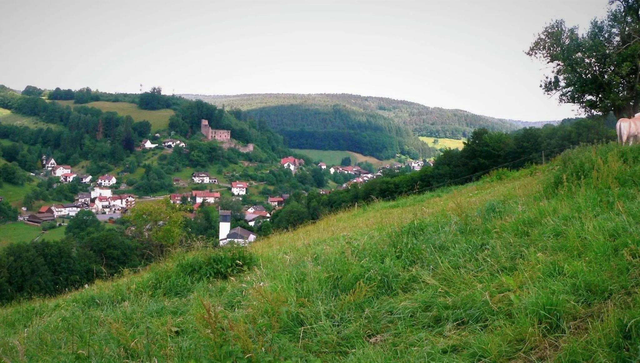 Hiking in Hotel Gasthof Zur Krone