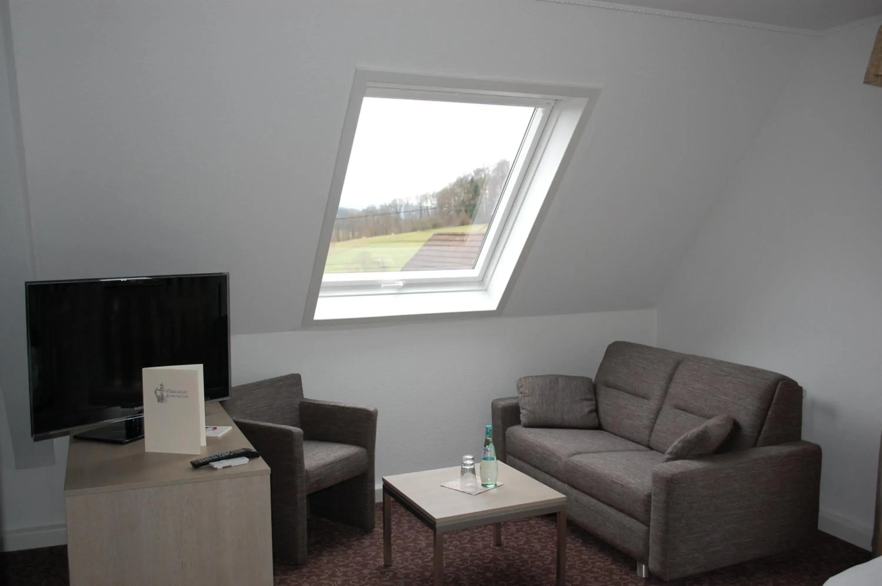 Double Room in Parkhotel Krone Double Room in Parkhotel Krone