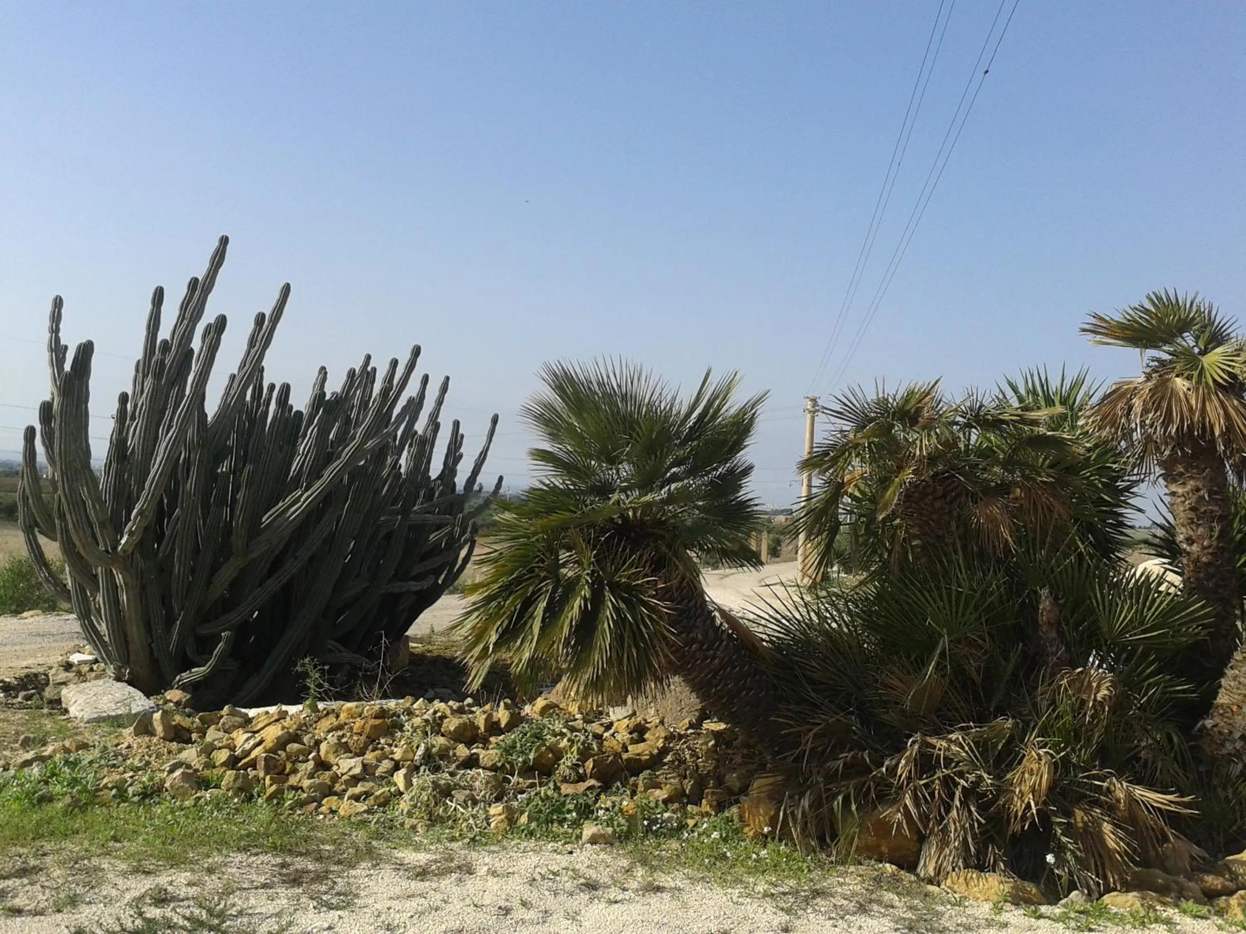Facade/entrance in Agriturismo sanacore di sanacore salvatore