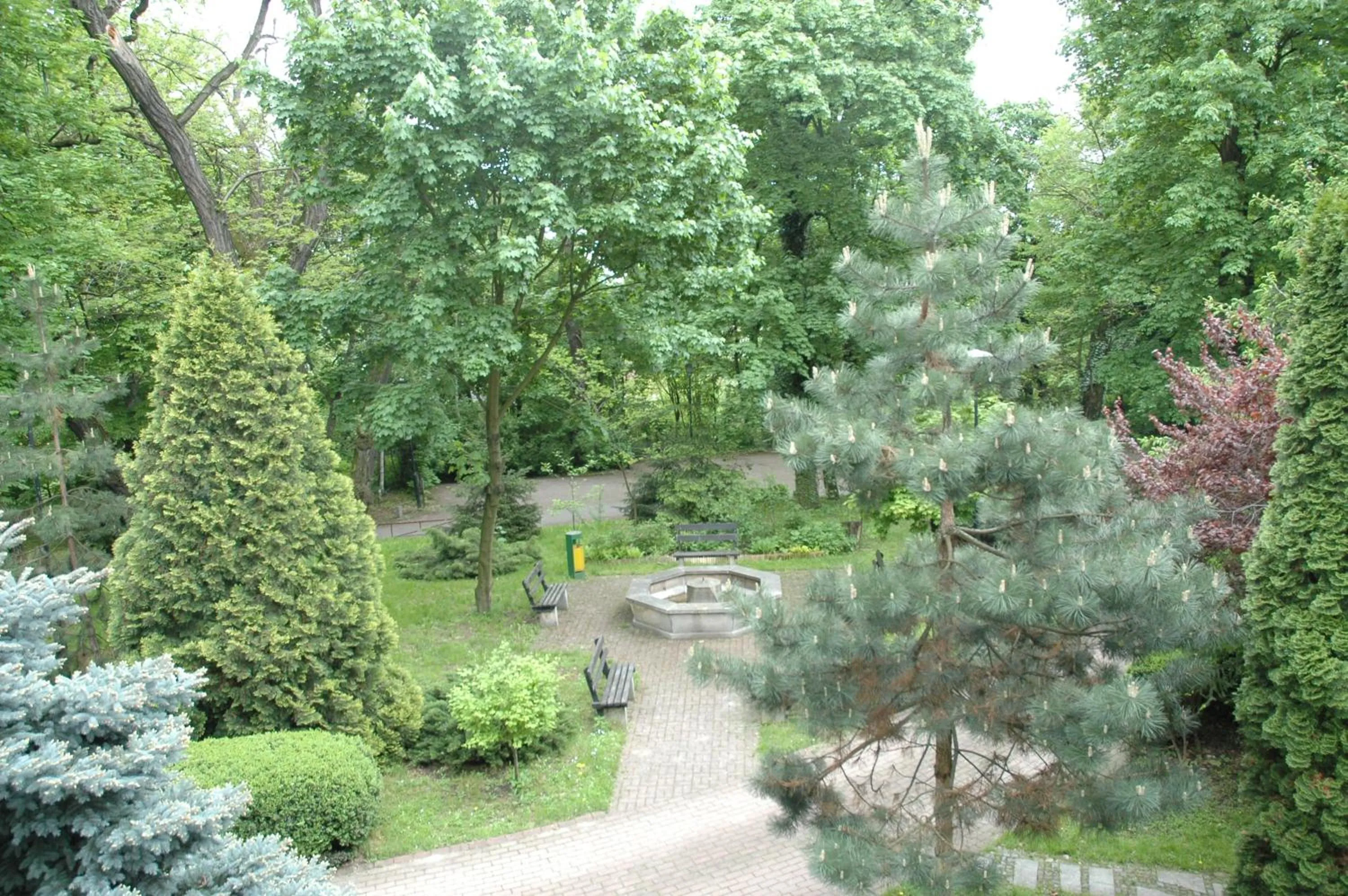 Garden in Hotel Maria