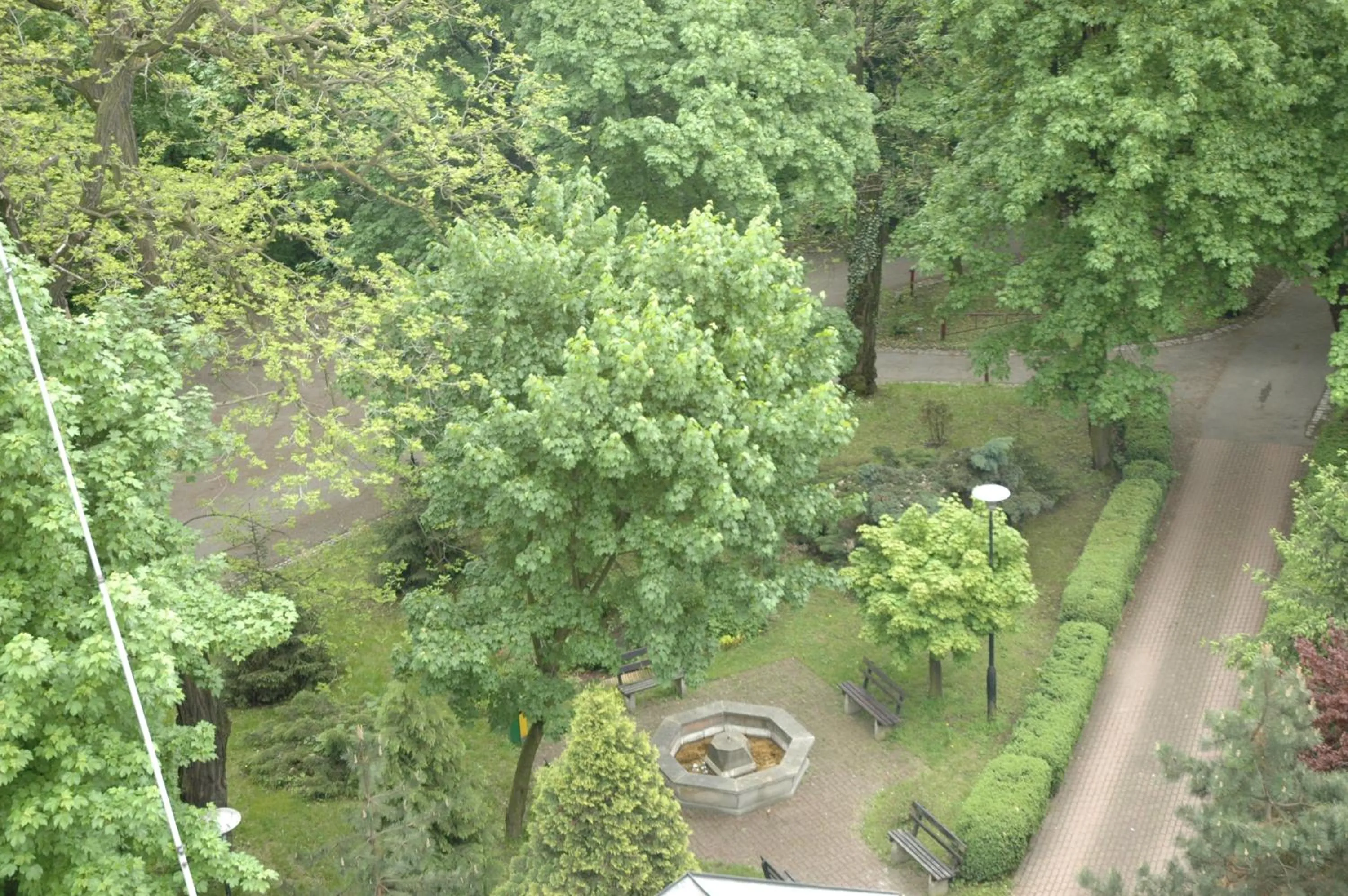 Garden in Hotel Maria
