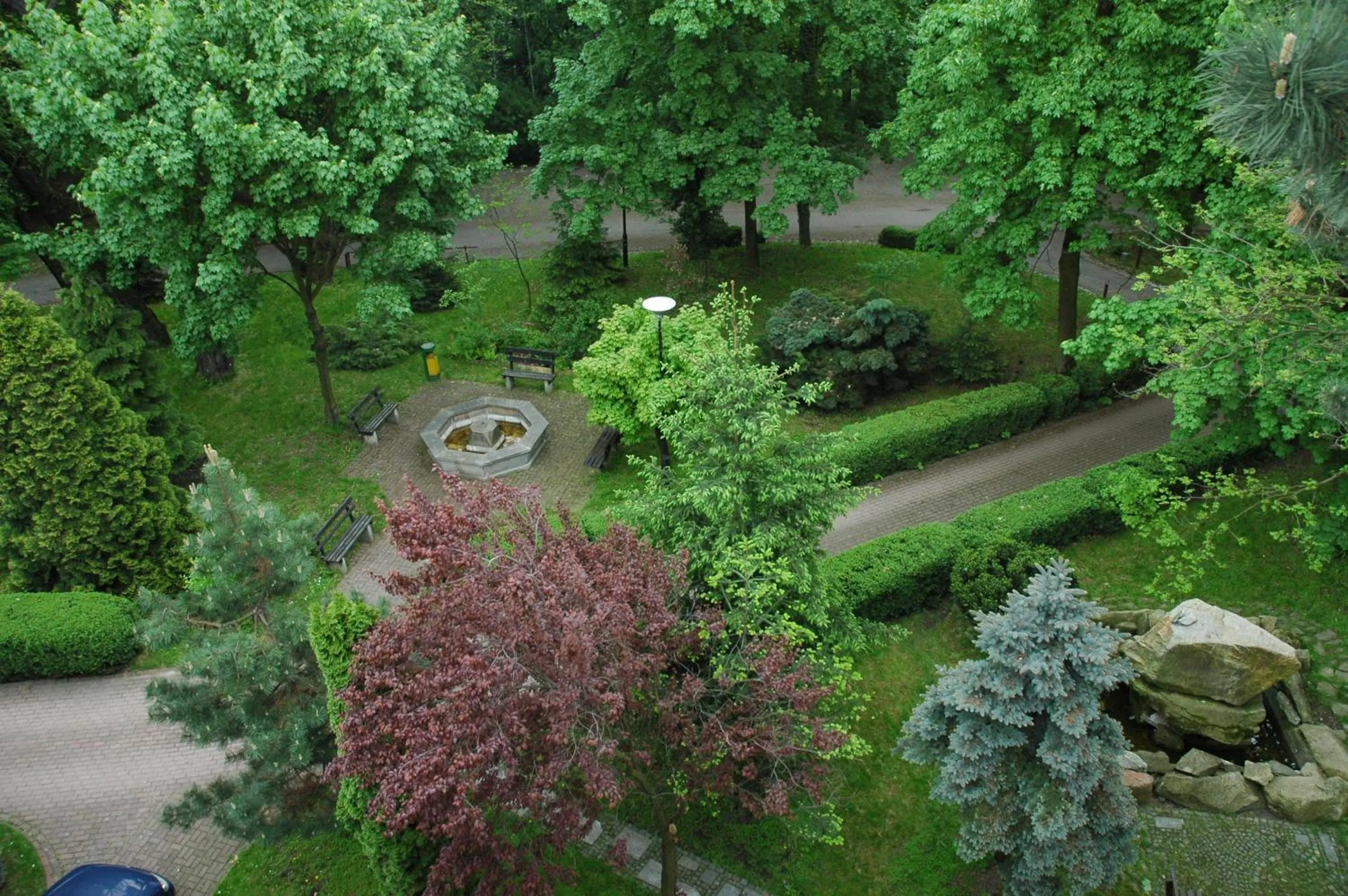 Garden in Hotel Maria