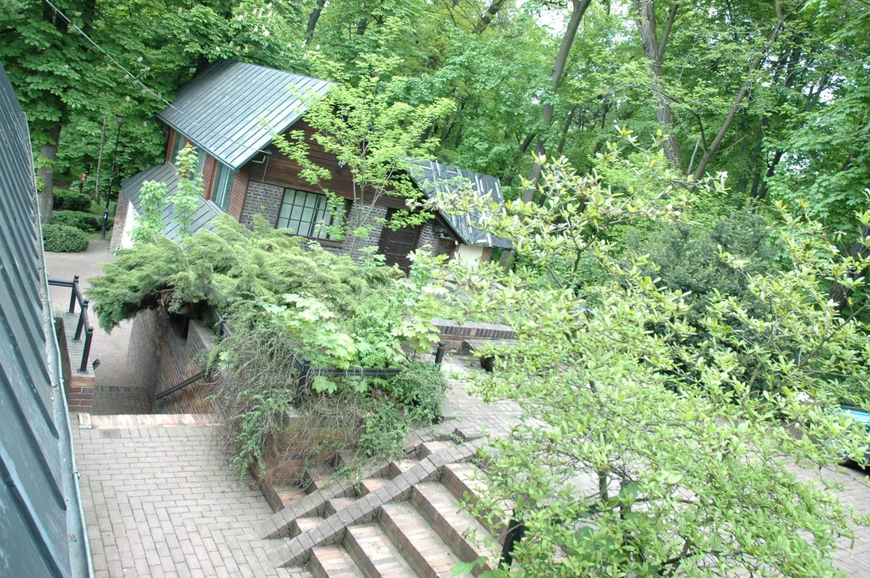 Garden in Hotel Maria