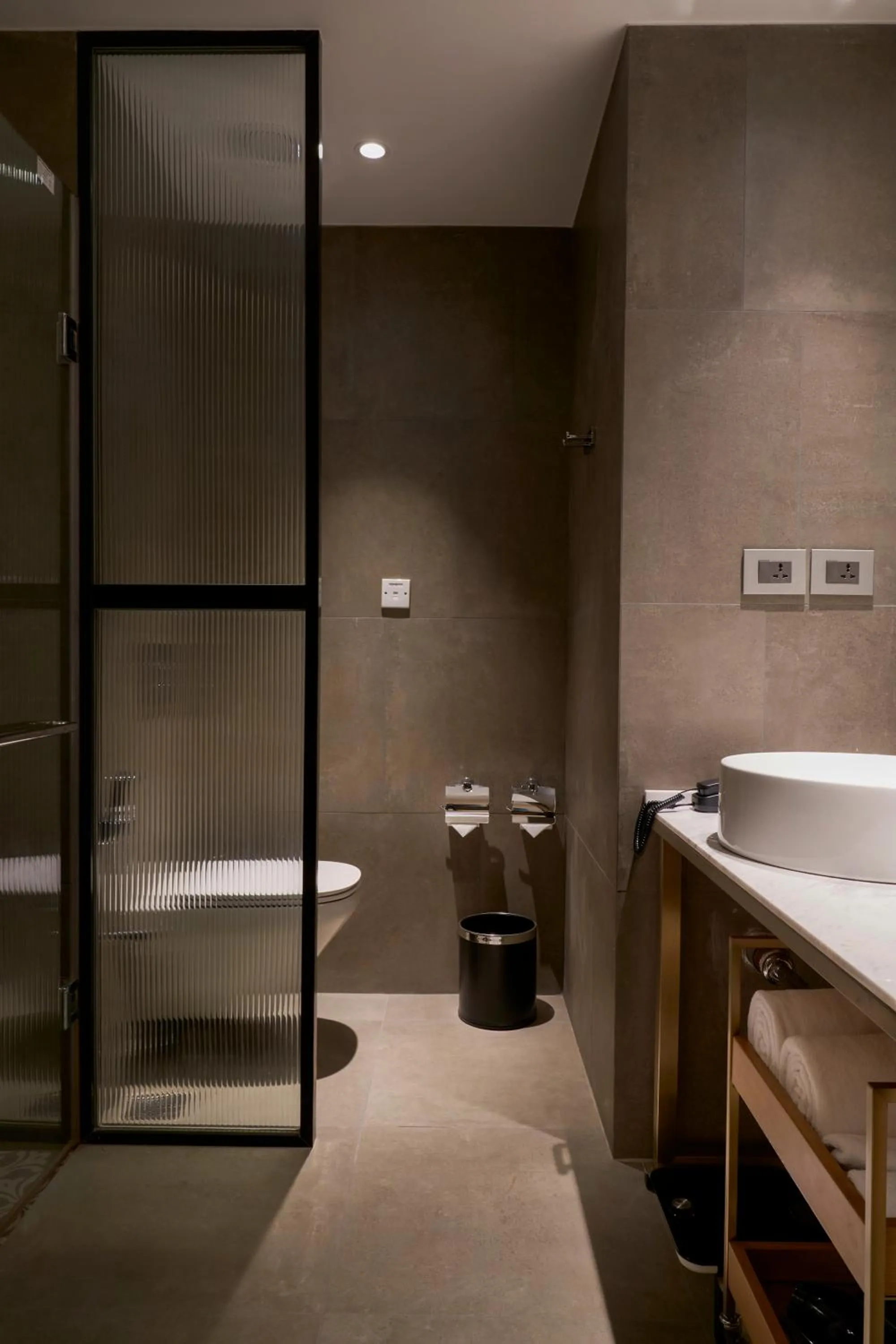 Toilet in Holiday Inn Goa Candolim