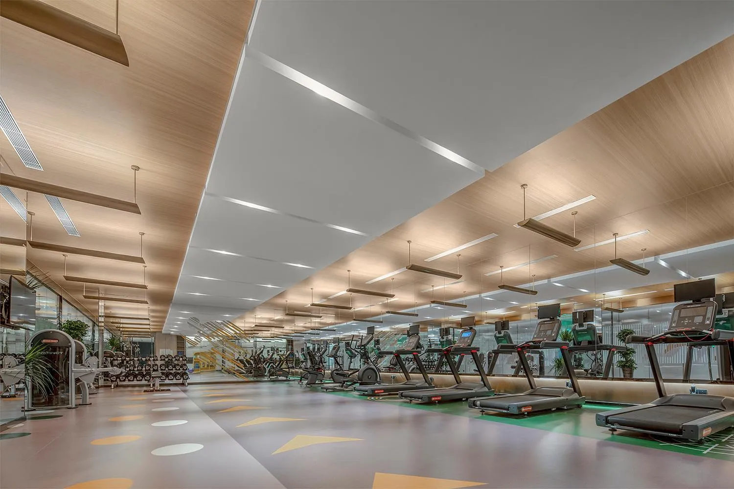 Fitness centre/facilities in Holiday Inn Fuyang by IHG