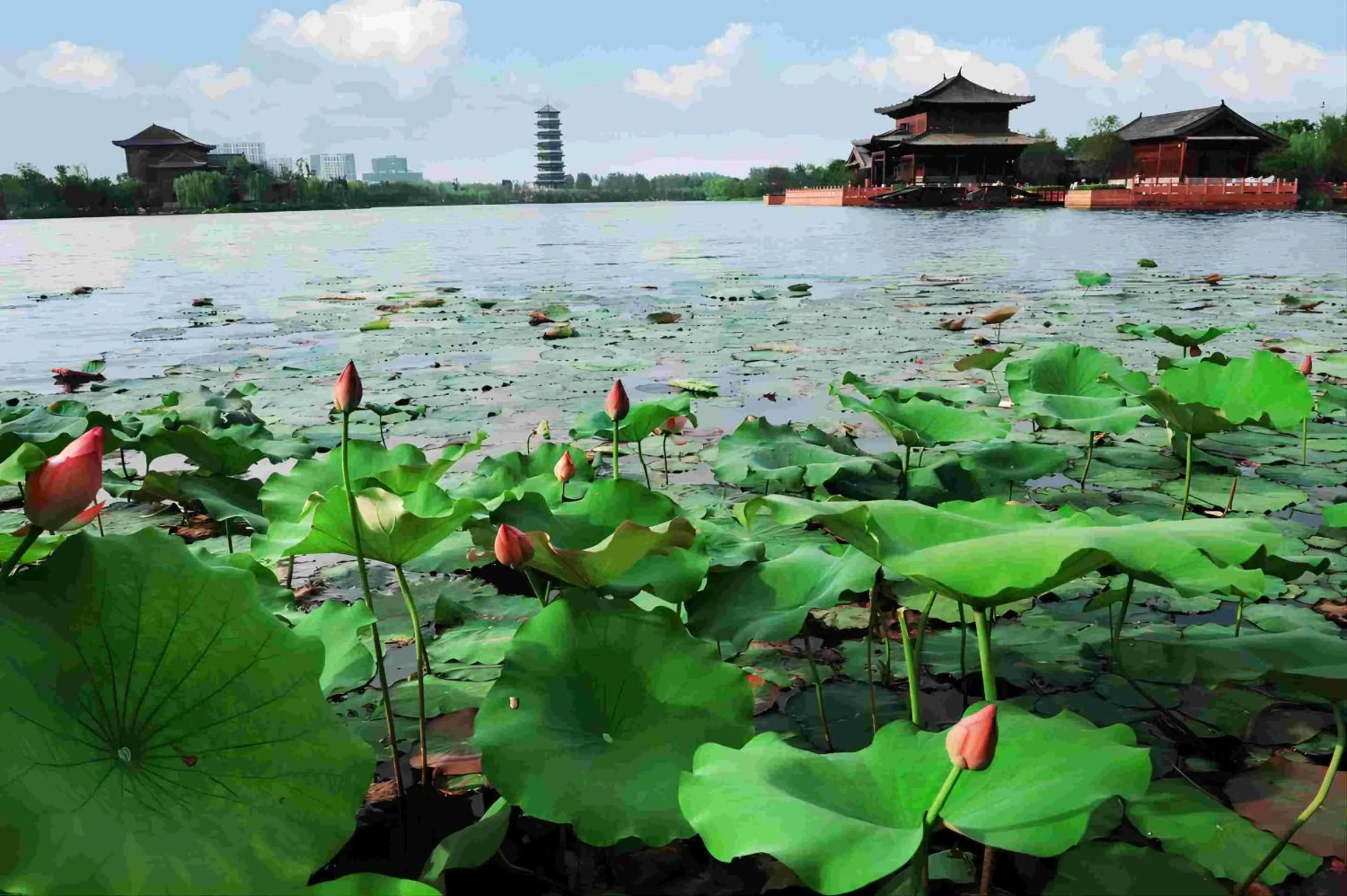 Nearby landmark in Holiday Inn Fuyang by IHG