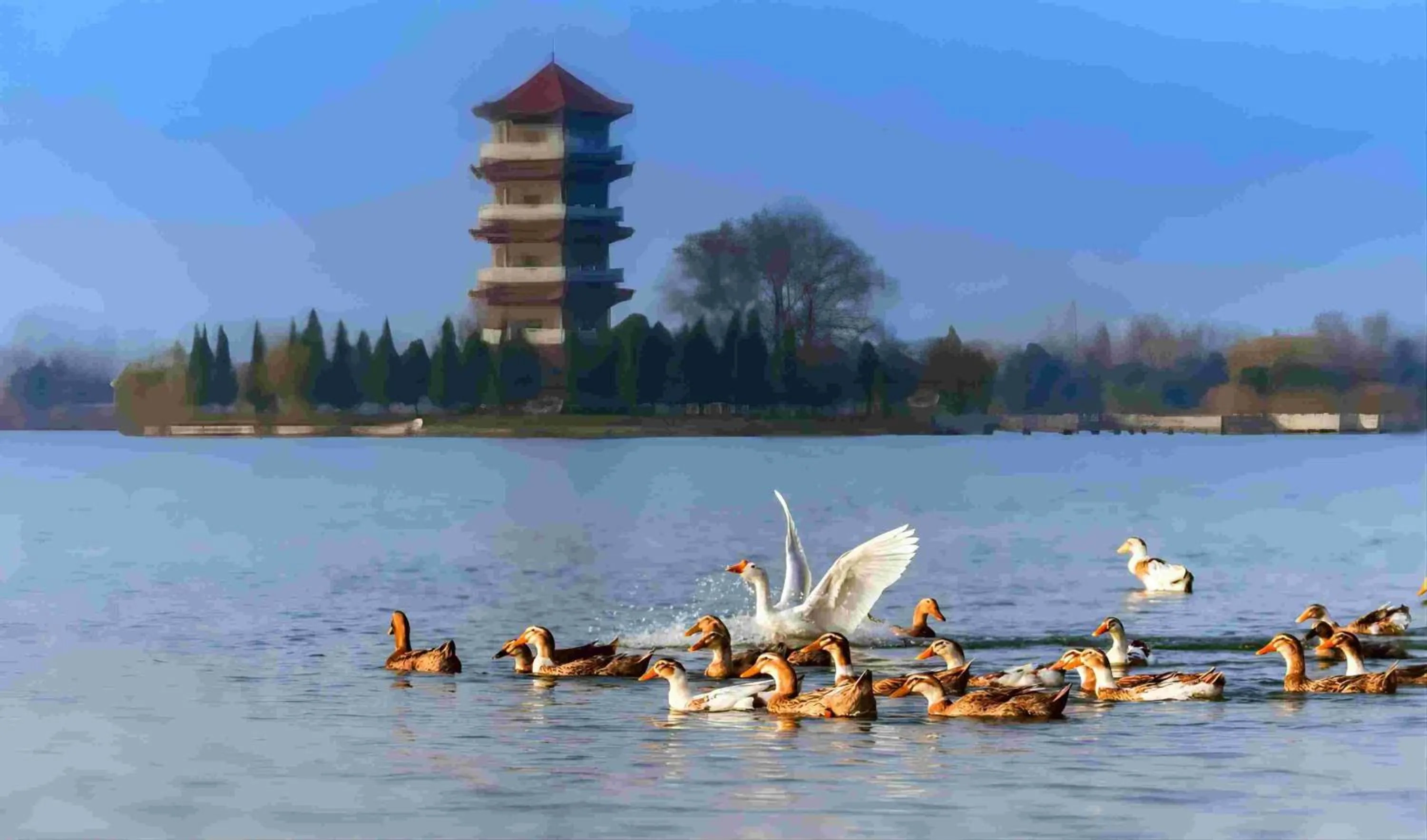 Nearby landmark in Holiday Inn Fuyang by IHG