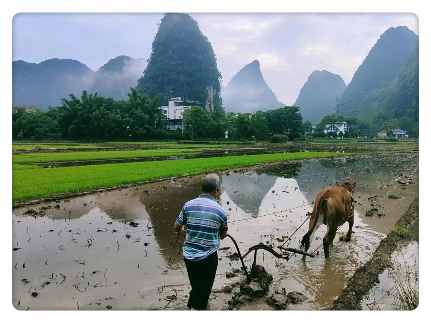 Nearby landmark in YangShuo Eden Inn