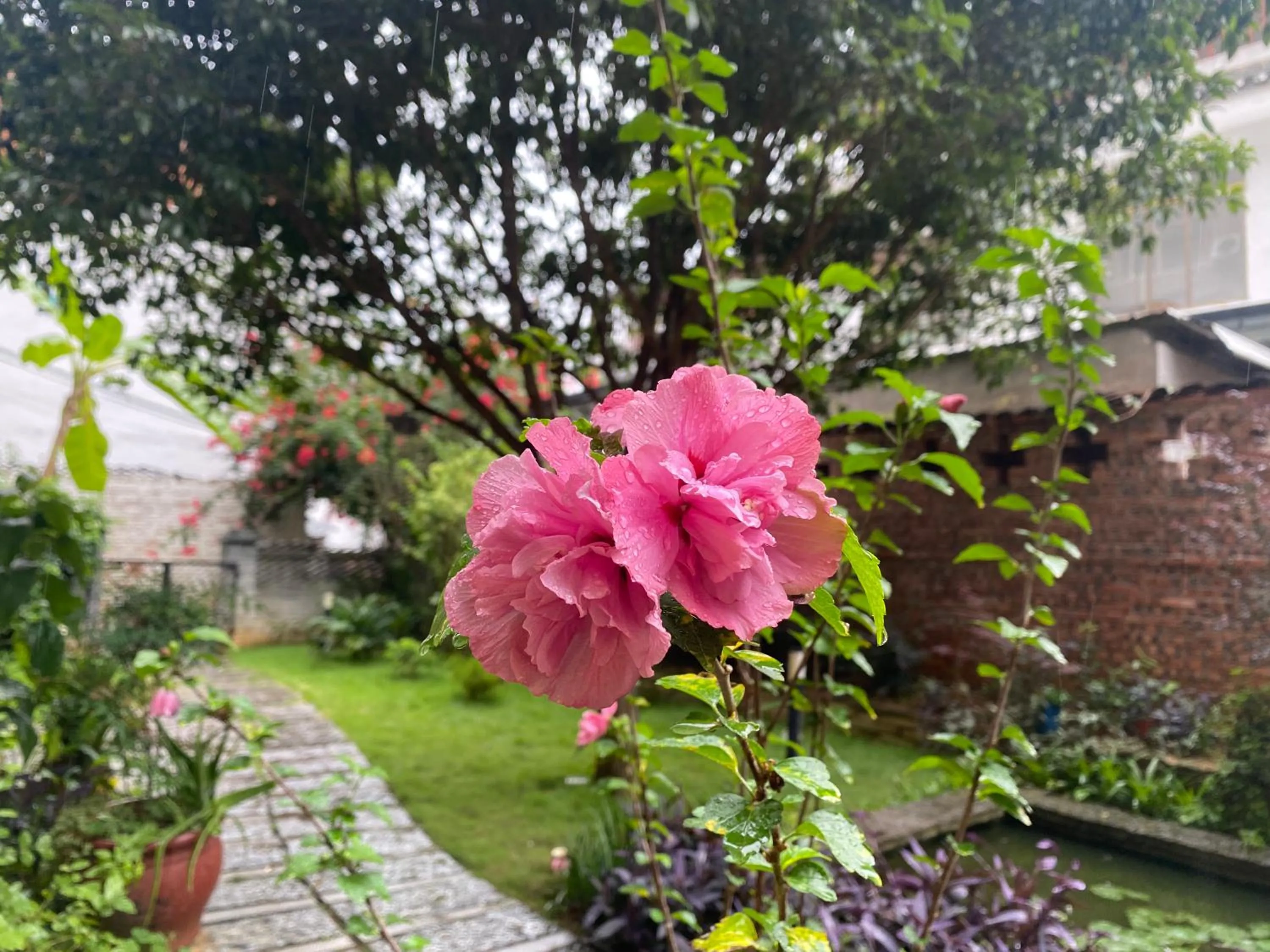 Garden view in YangShuo Eden Inn