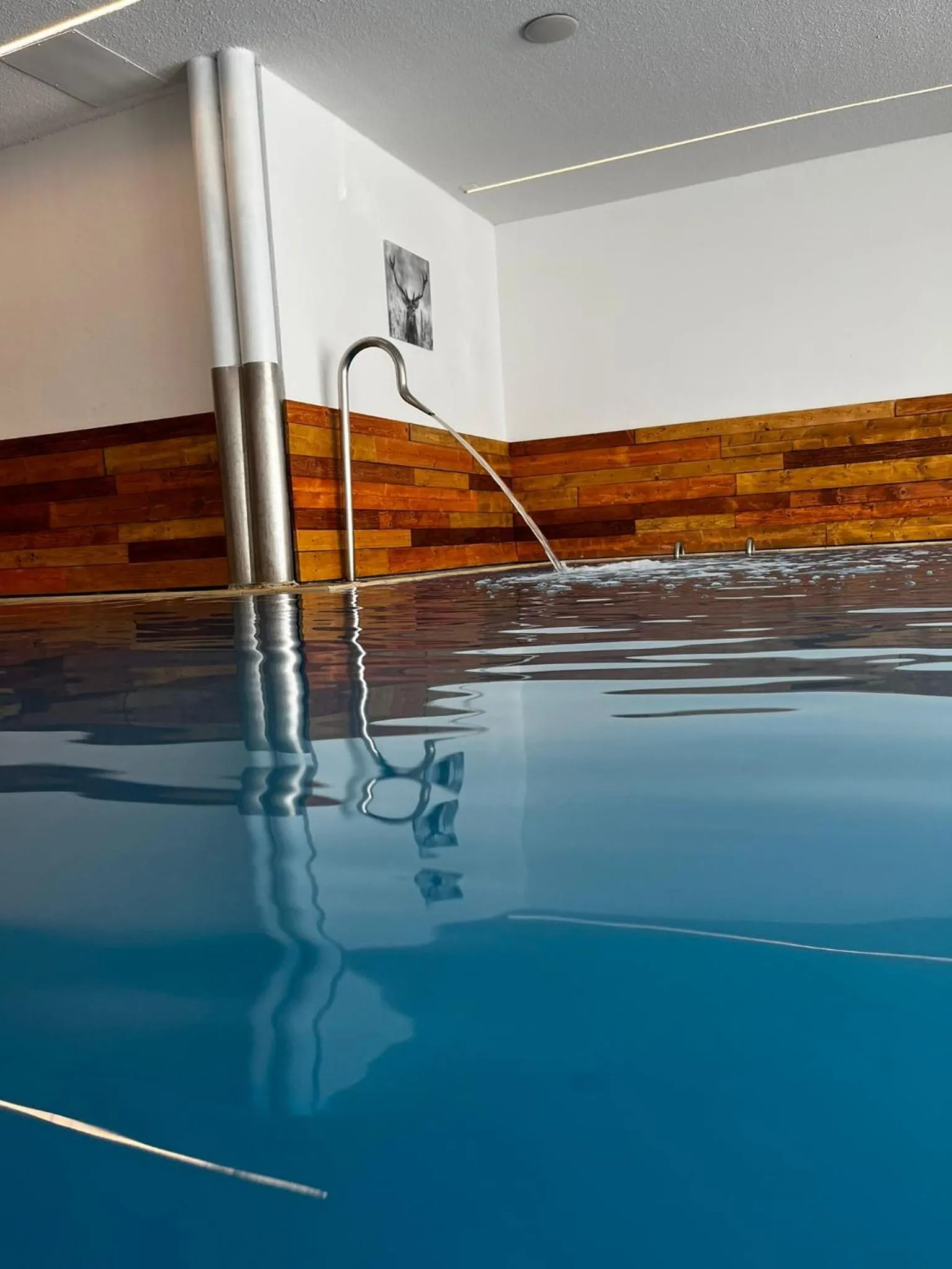 Swimming pool in Grichting Hotel & Serviced Apartments