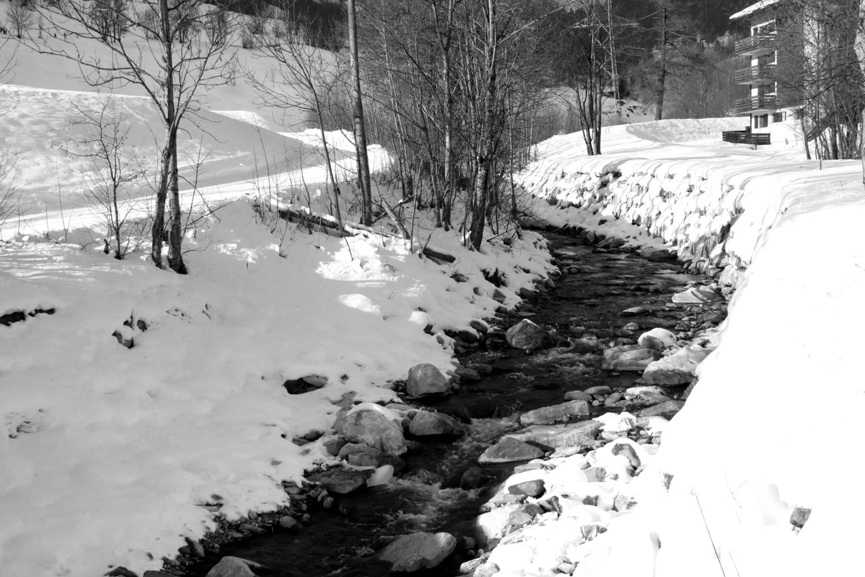 Skiing in Grichting Hotel & Serviced Apartments