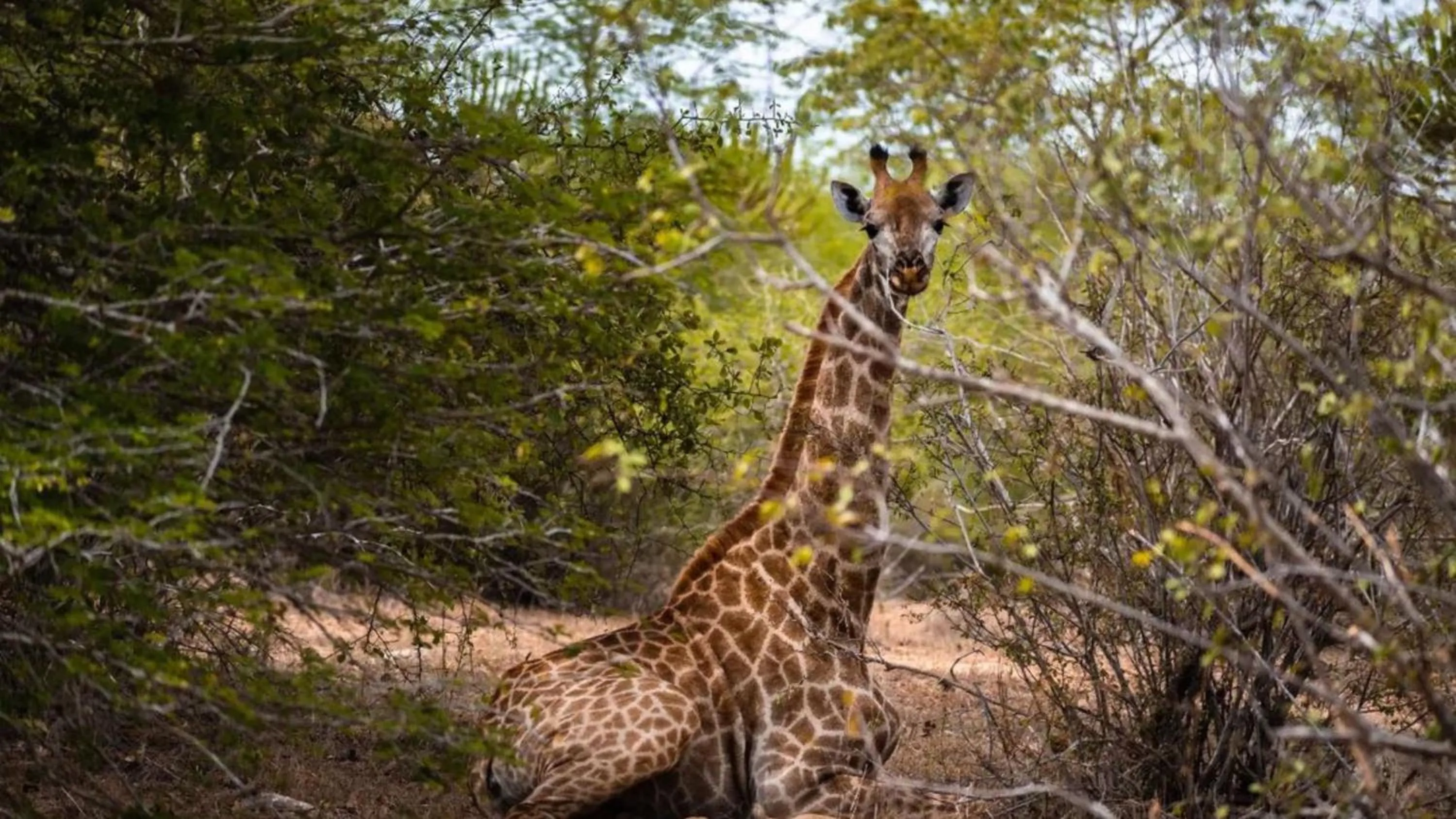 Area and facilities in InterContinental Luanda Miramar by IHG