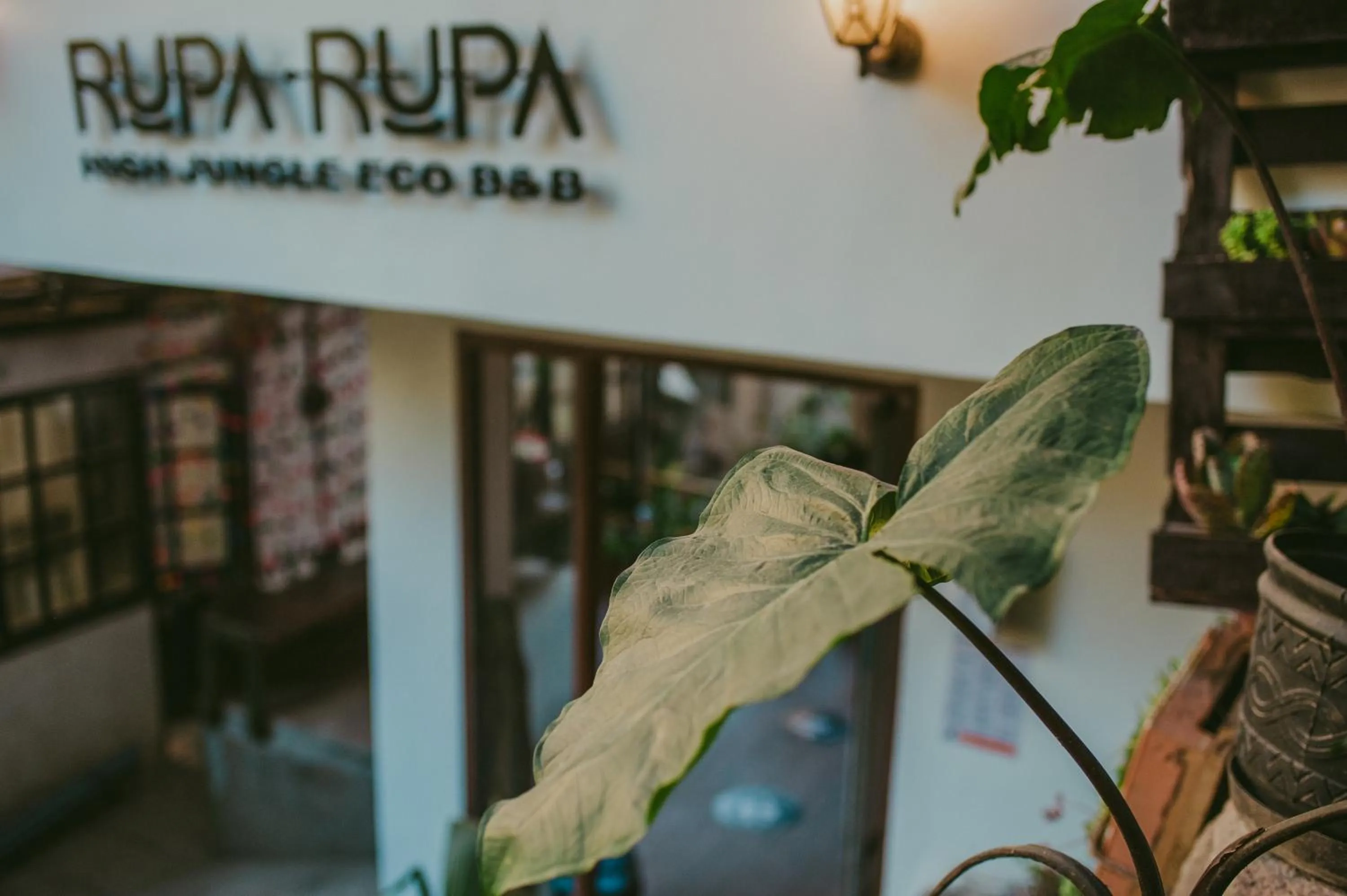 Property logo or sign in Rupa Rupa High Jungle Eco B&B