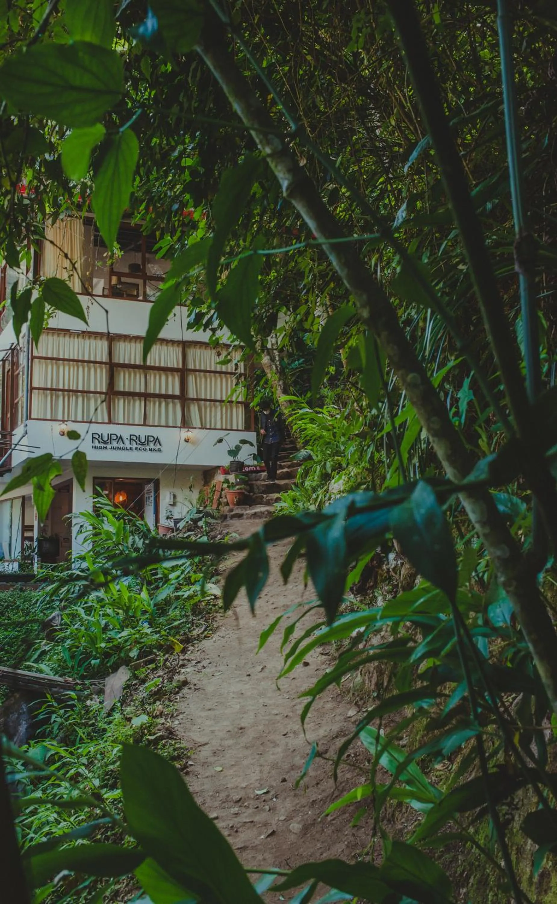 Property building in Rupa Rupa High Jungle Eco B&B