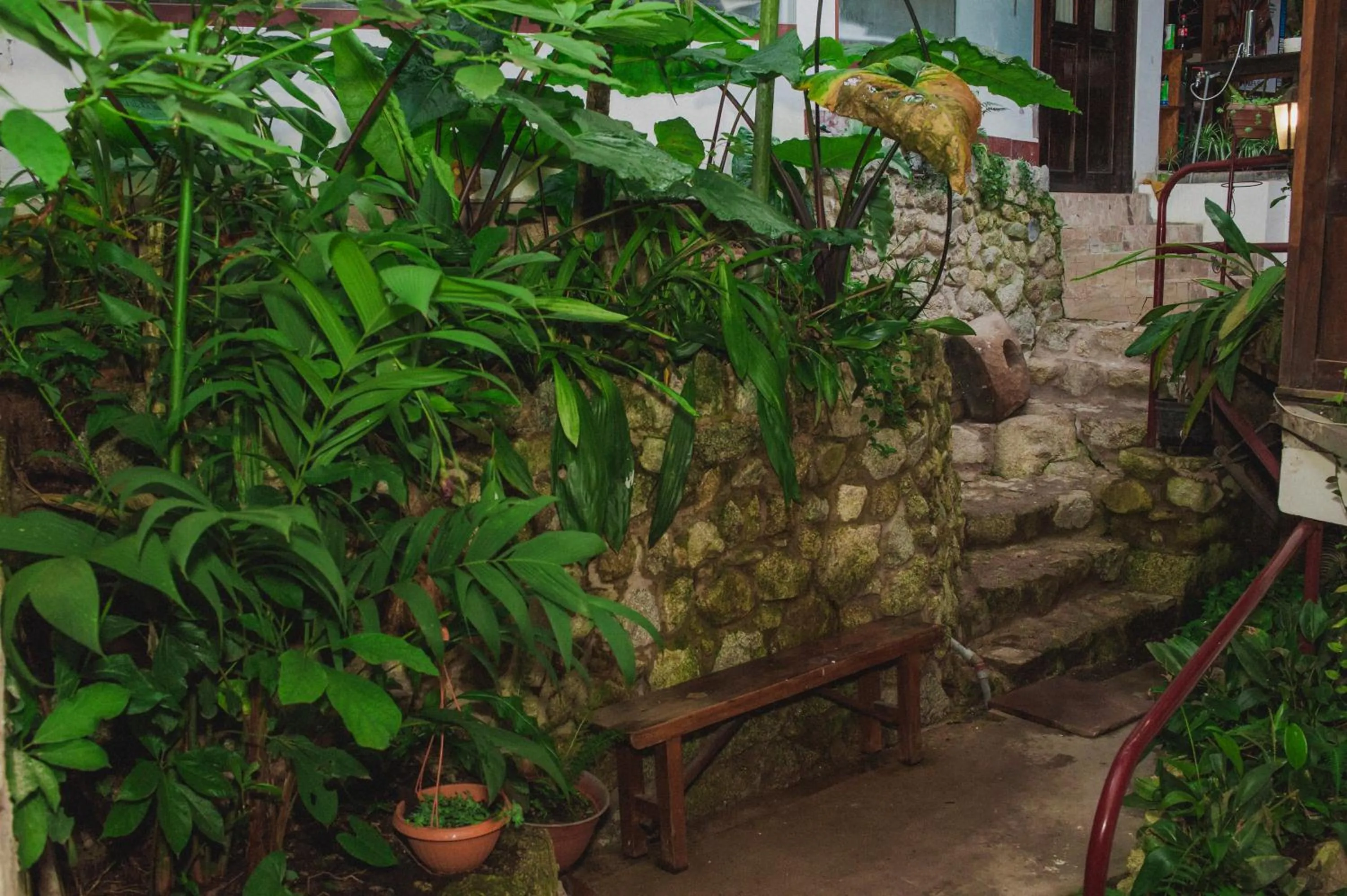 Rupa Rupa High Jungle Eco B&B