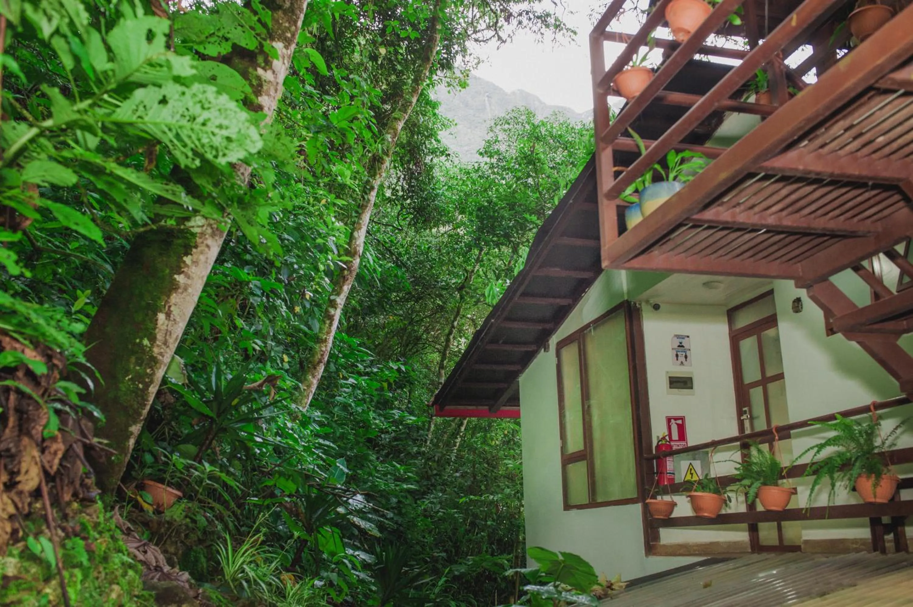 Rupa Rupa High Jungle Eco B&B