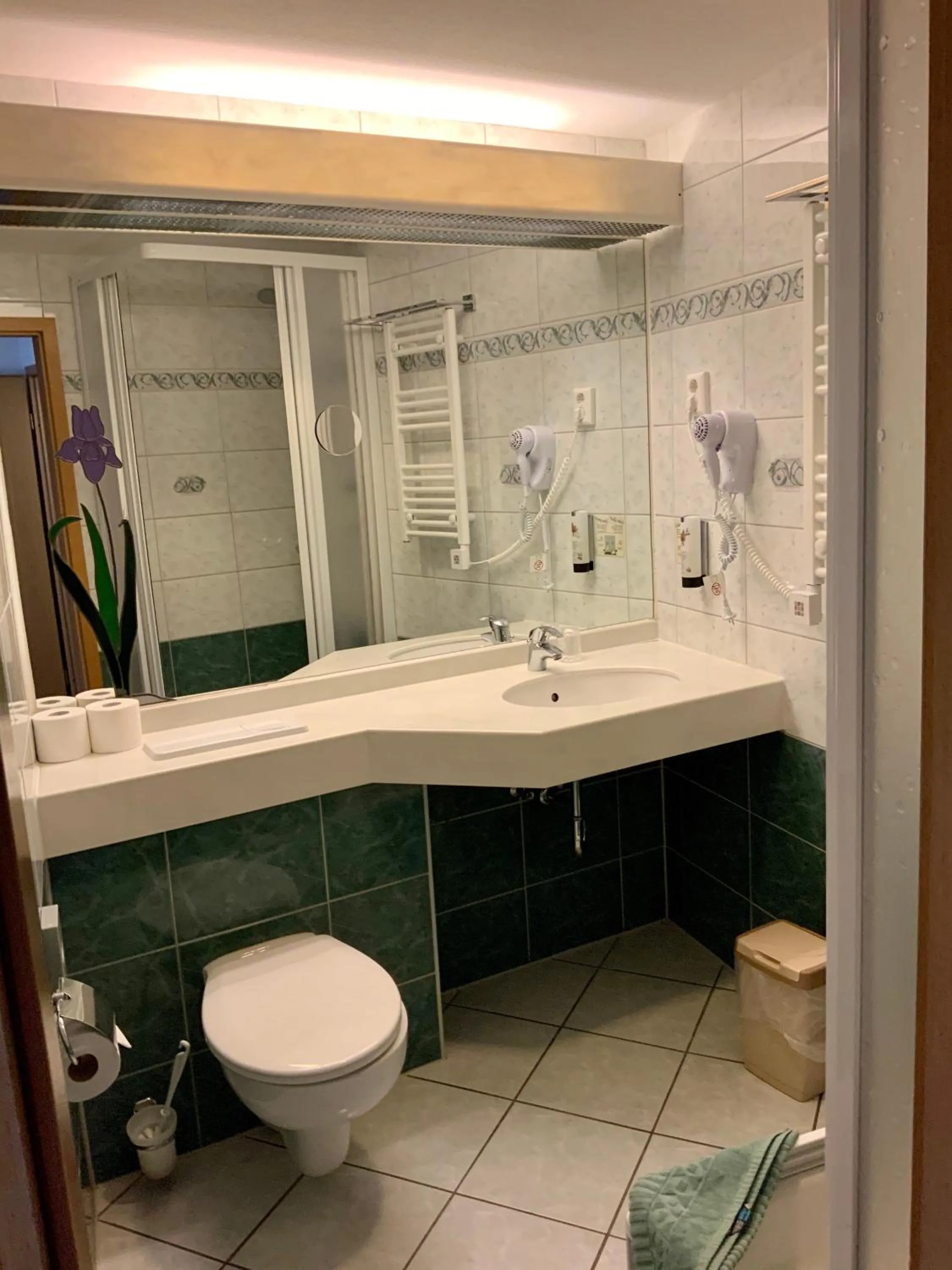 Bathroom in Bluhm's Hotel & Restaurant am Markt