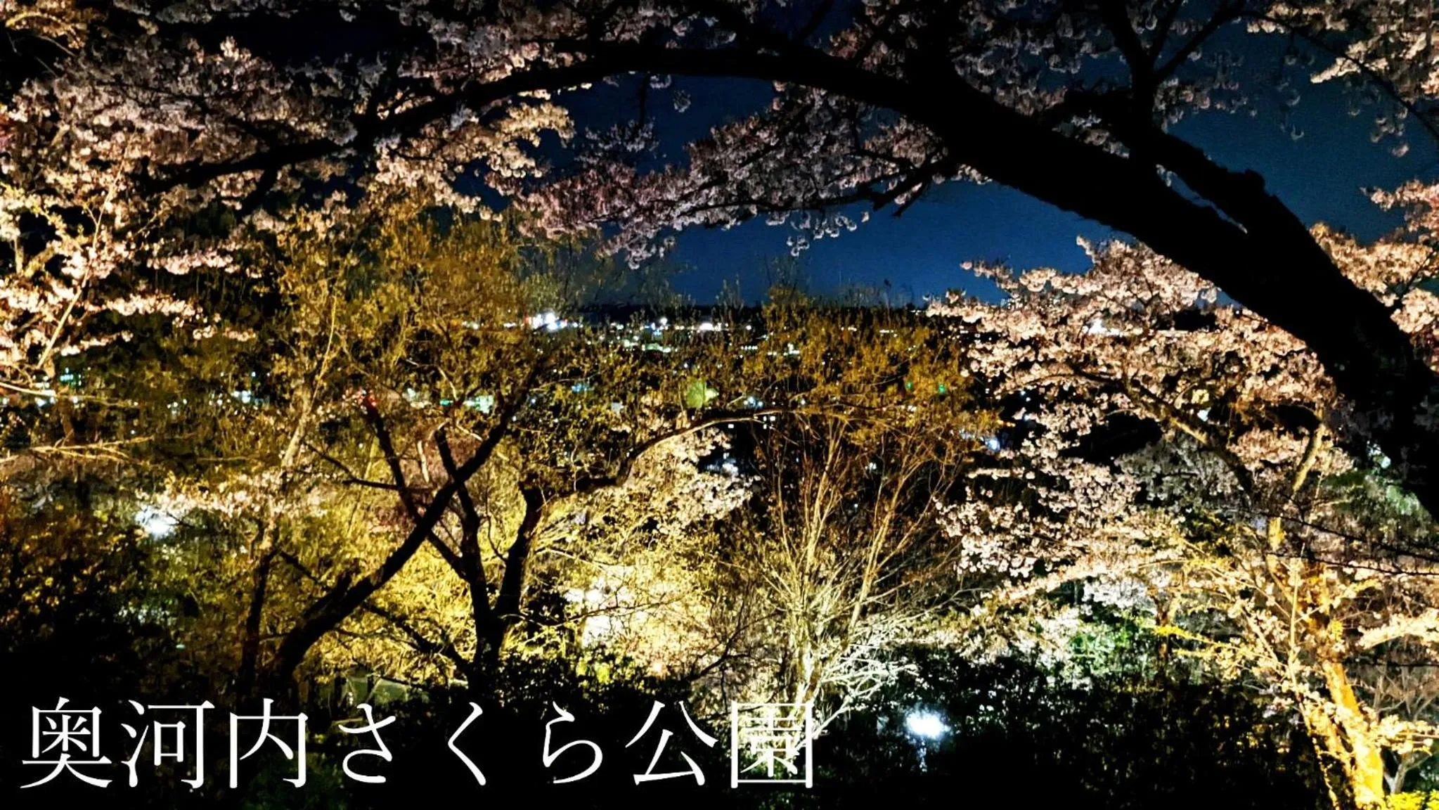 Kawachi no Yado - Vacation STAY 41785v