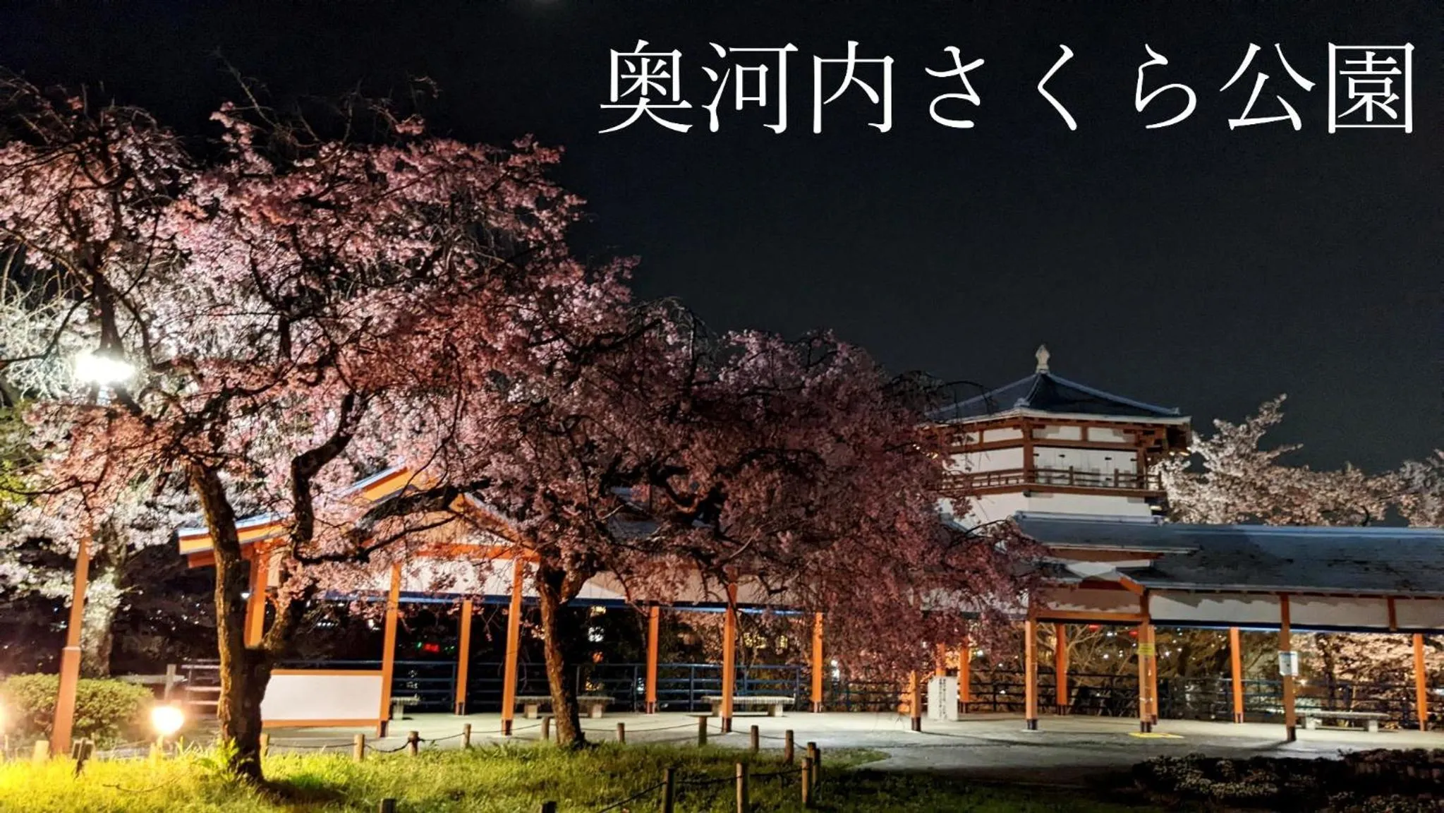 Kawachi no Yado - Vacation STAY 41785v