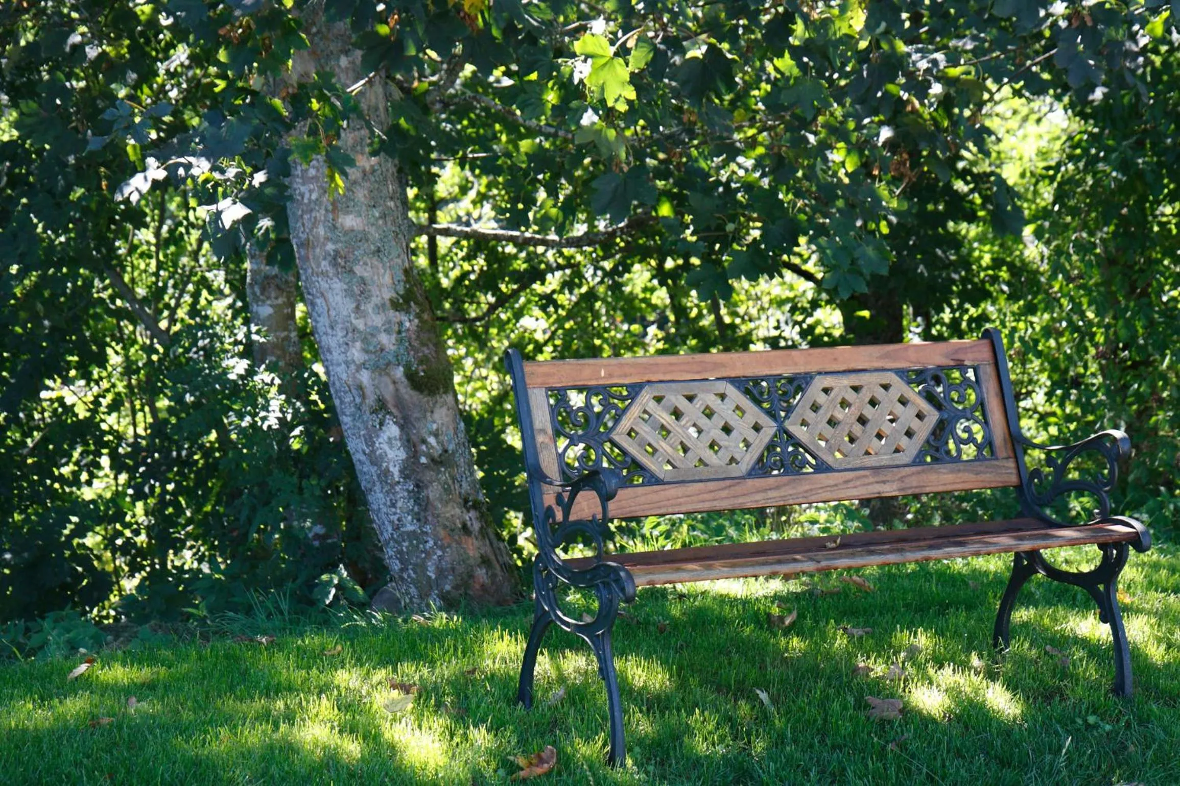 Facade/entrance in Parkhotel Waldlust