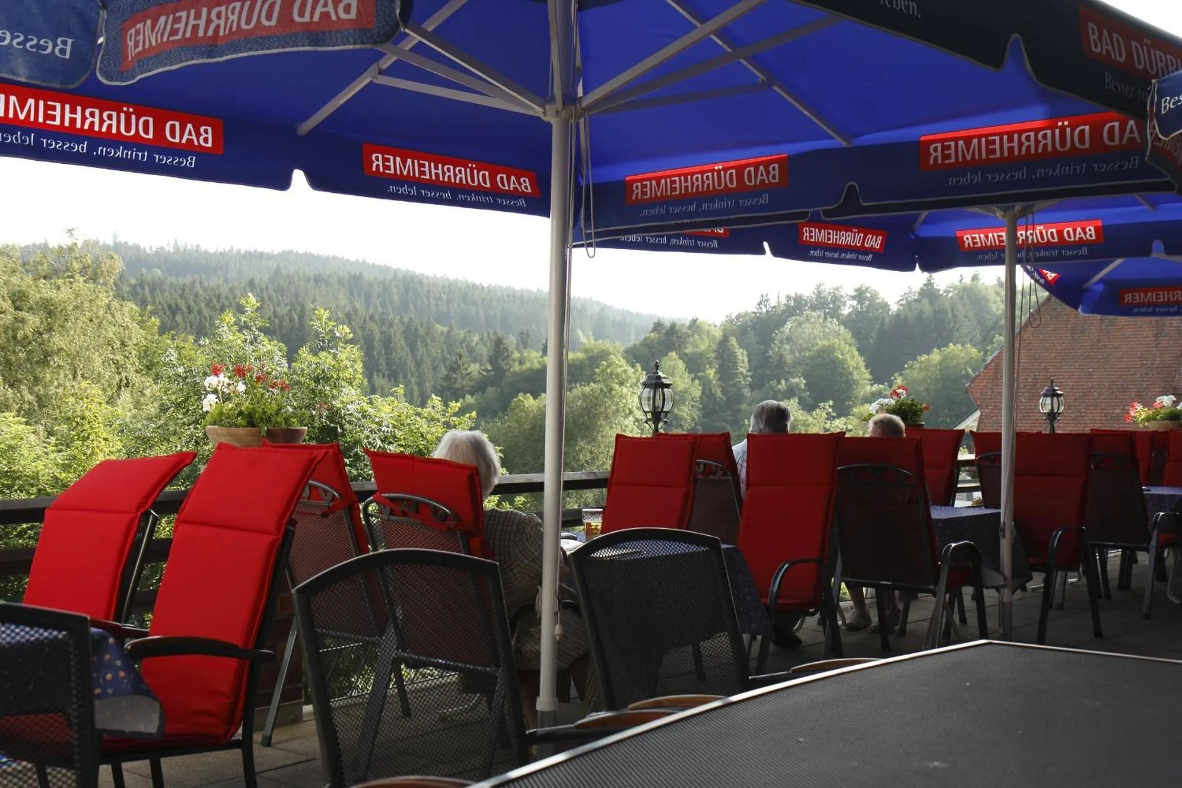 Balcony/Terrace in Parkhotel Waldlust