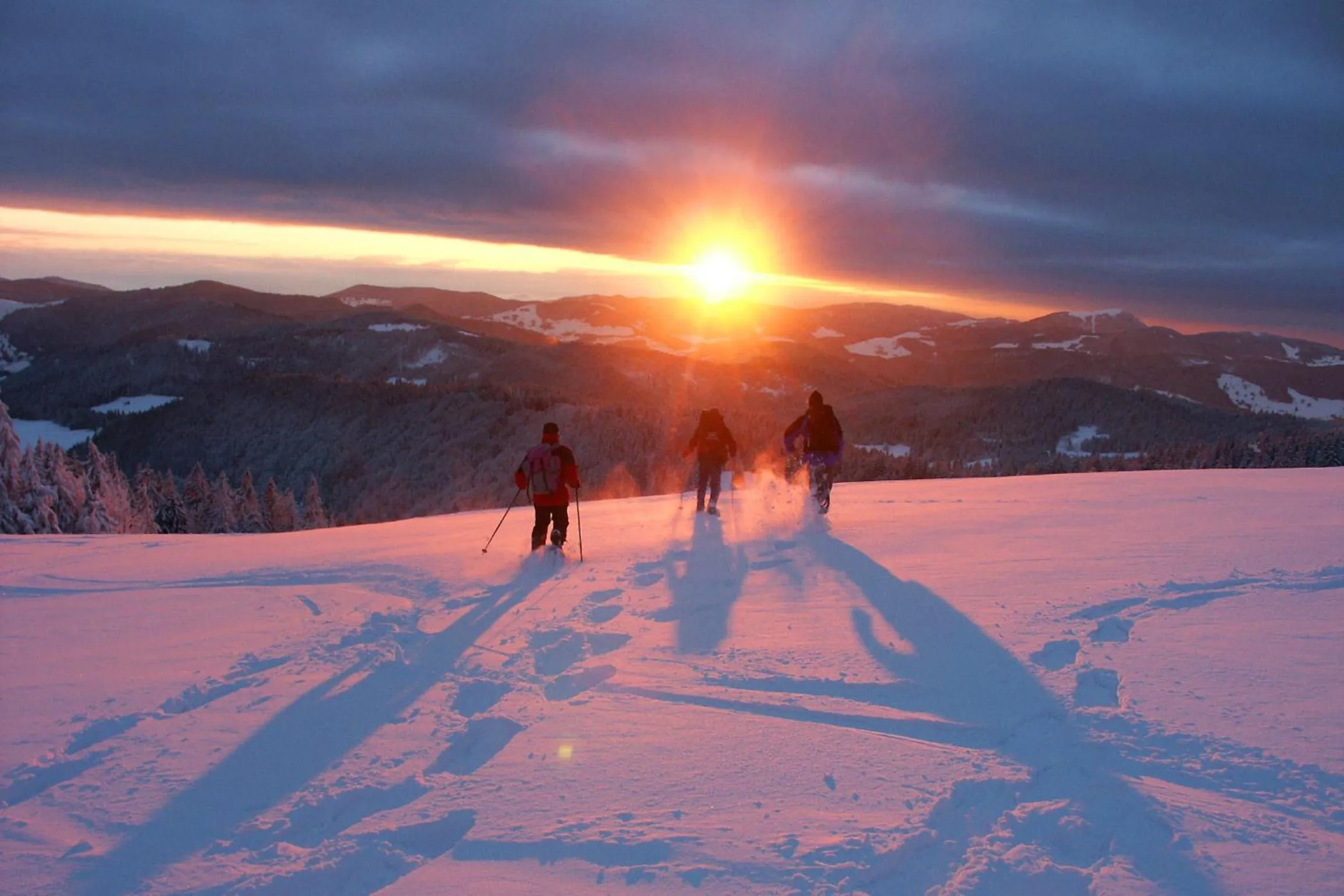 Area and facilities in Parkhotel Waldlust