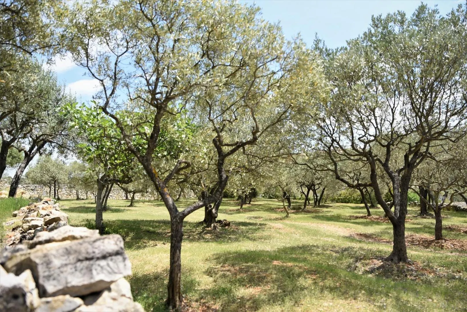 Natural landscape in PantaiaHomes - My Little Garden - Piscine - Vue panoramique