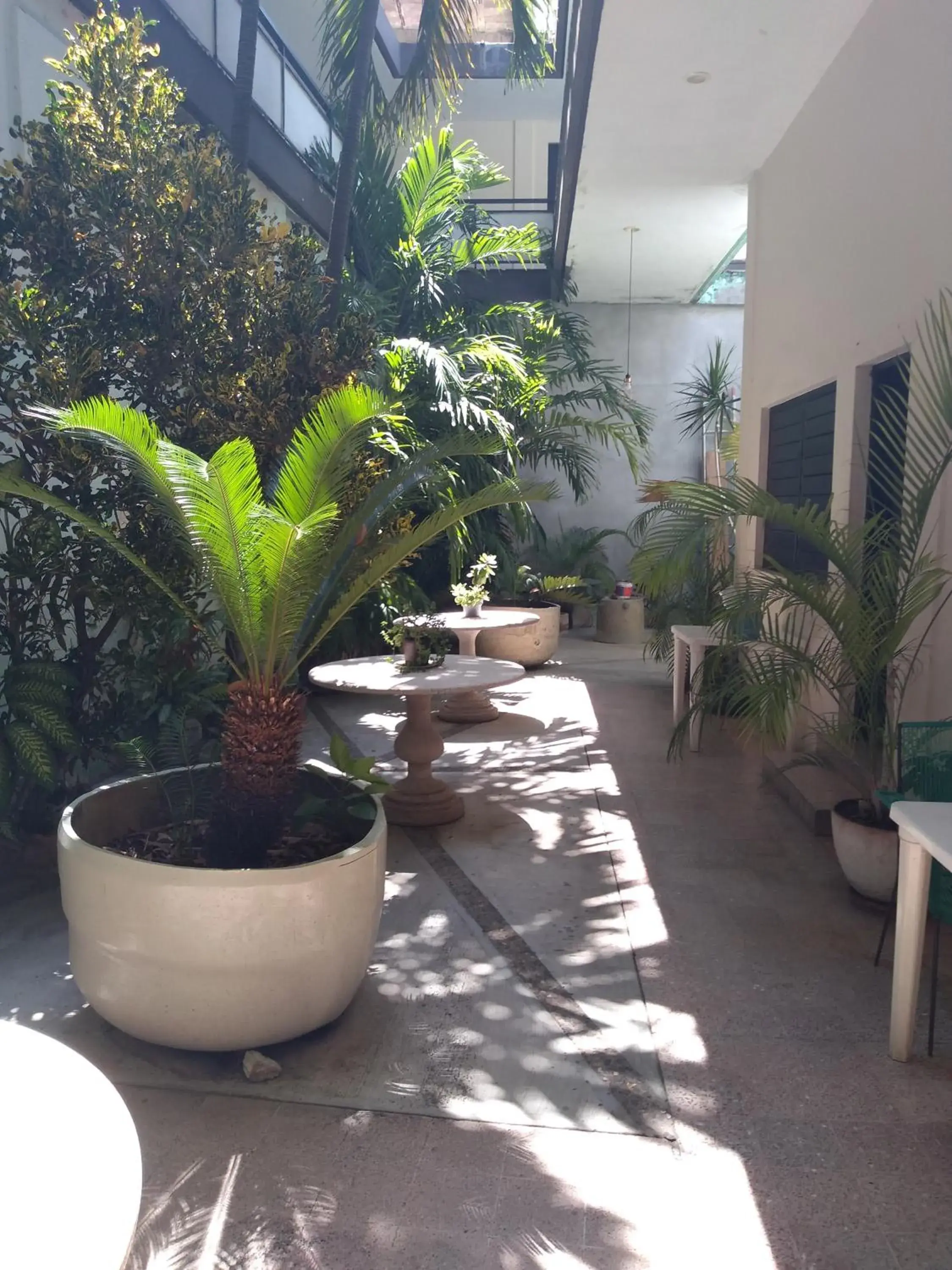 Hotel Colimense Hotel Colimense