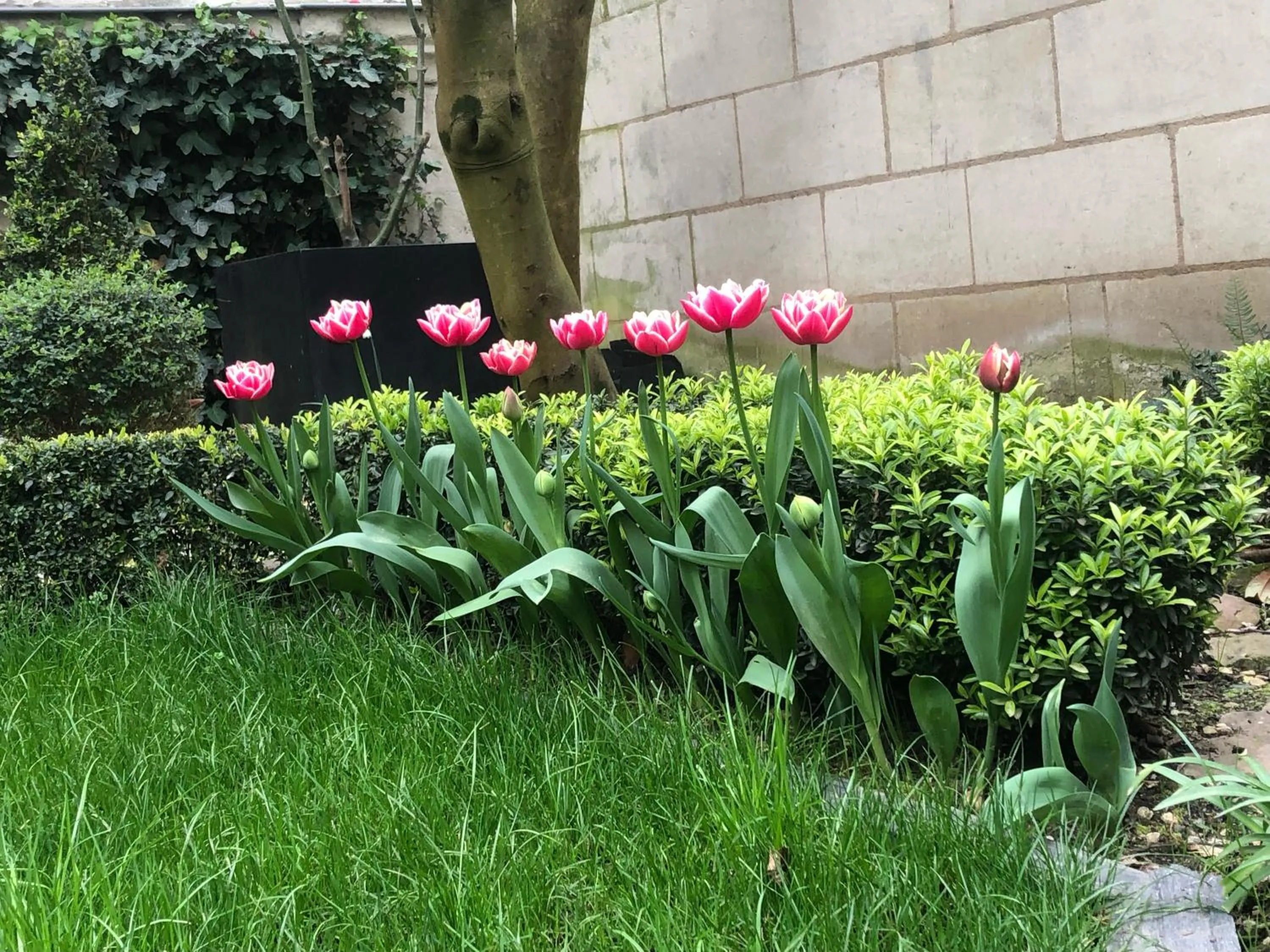 Garden view in BULLES DE LOIRE